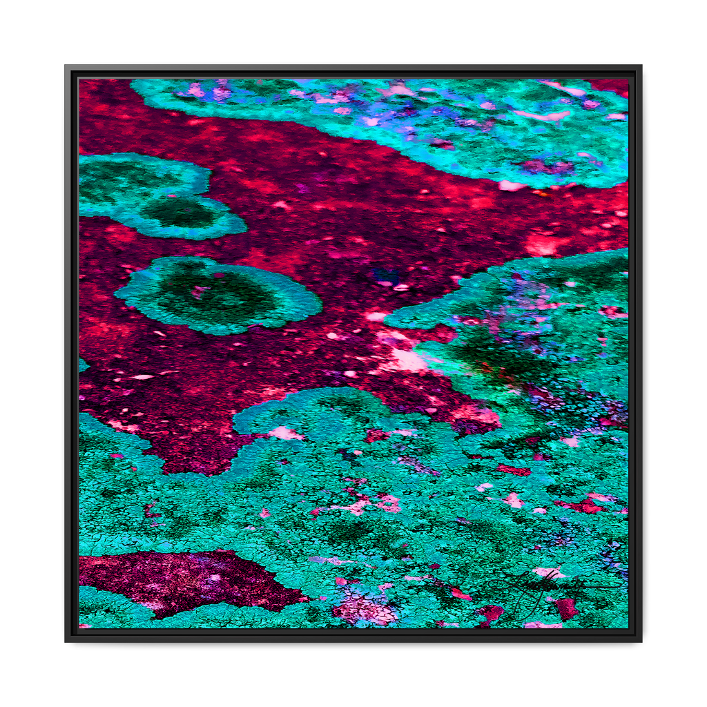 TBN003