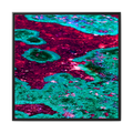 TBN003