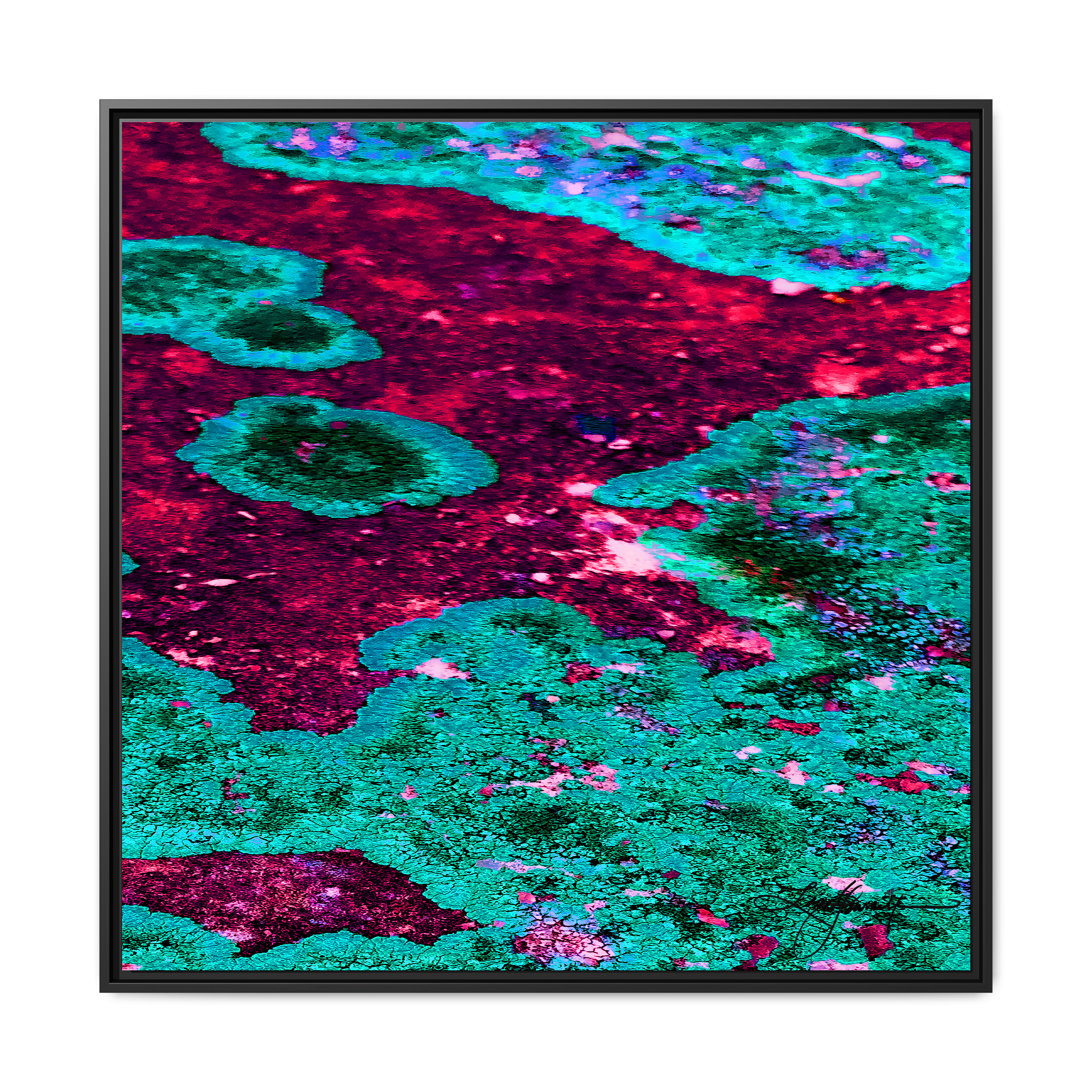 TBN003