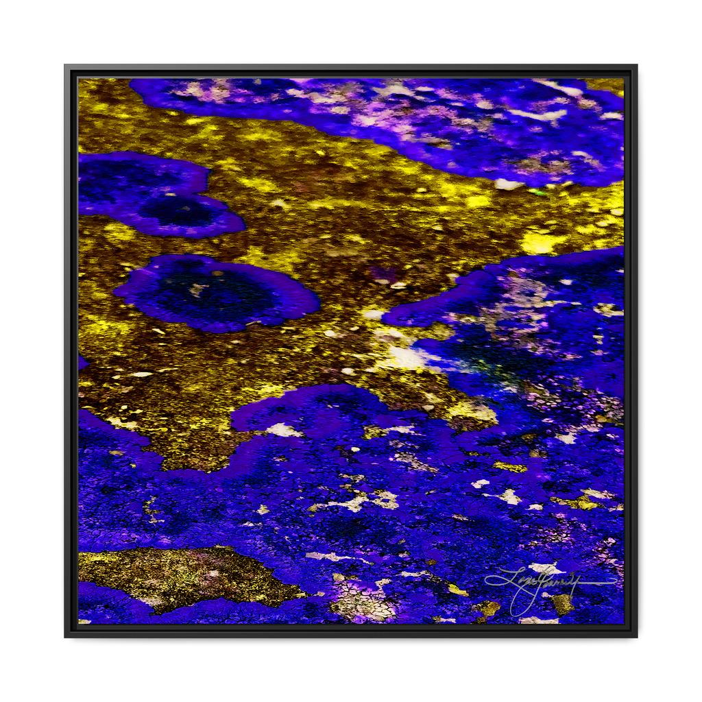 TBN003