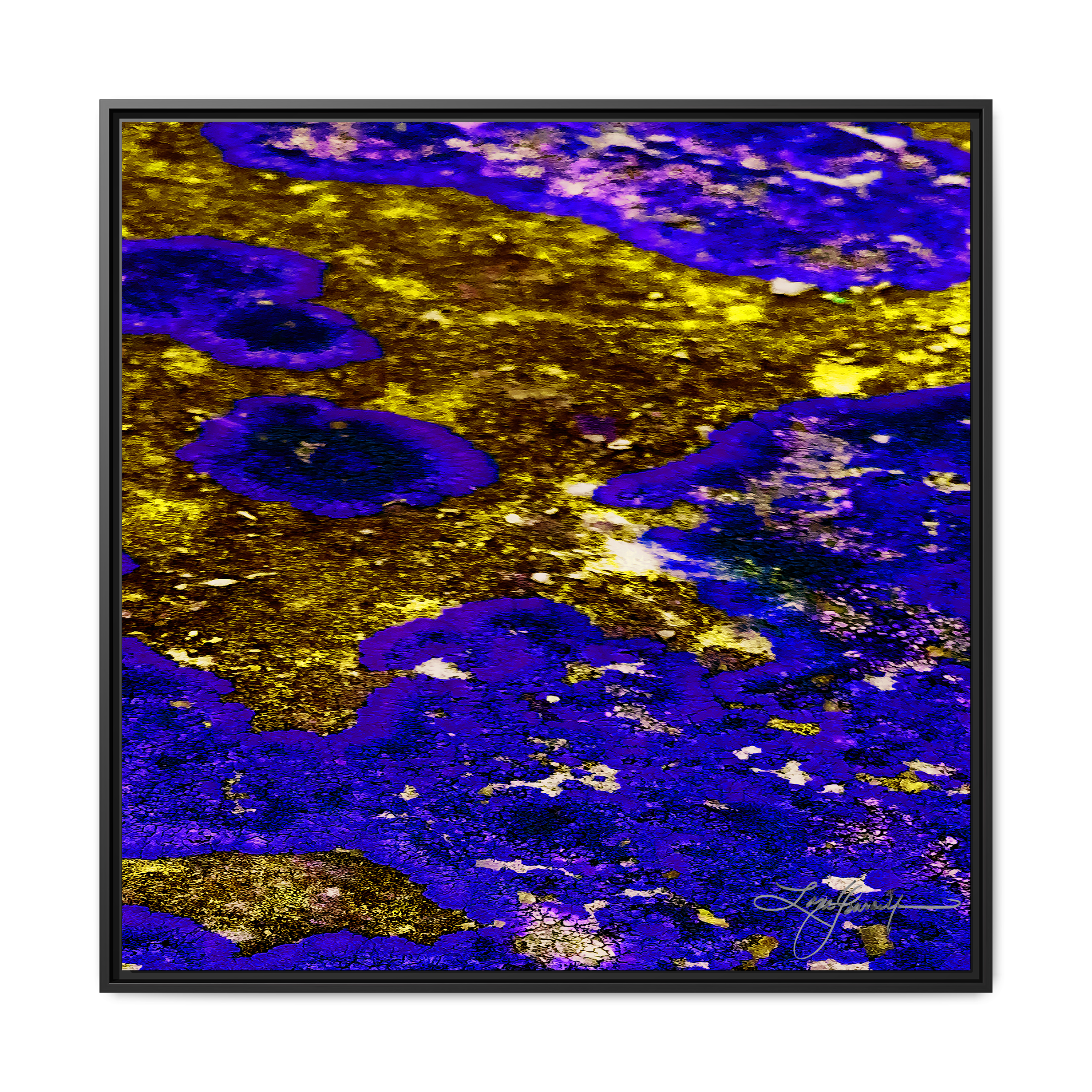 TBN003