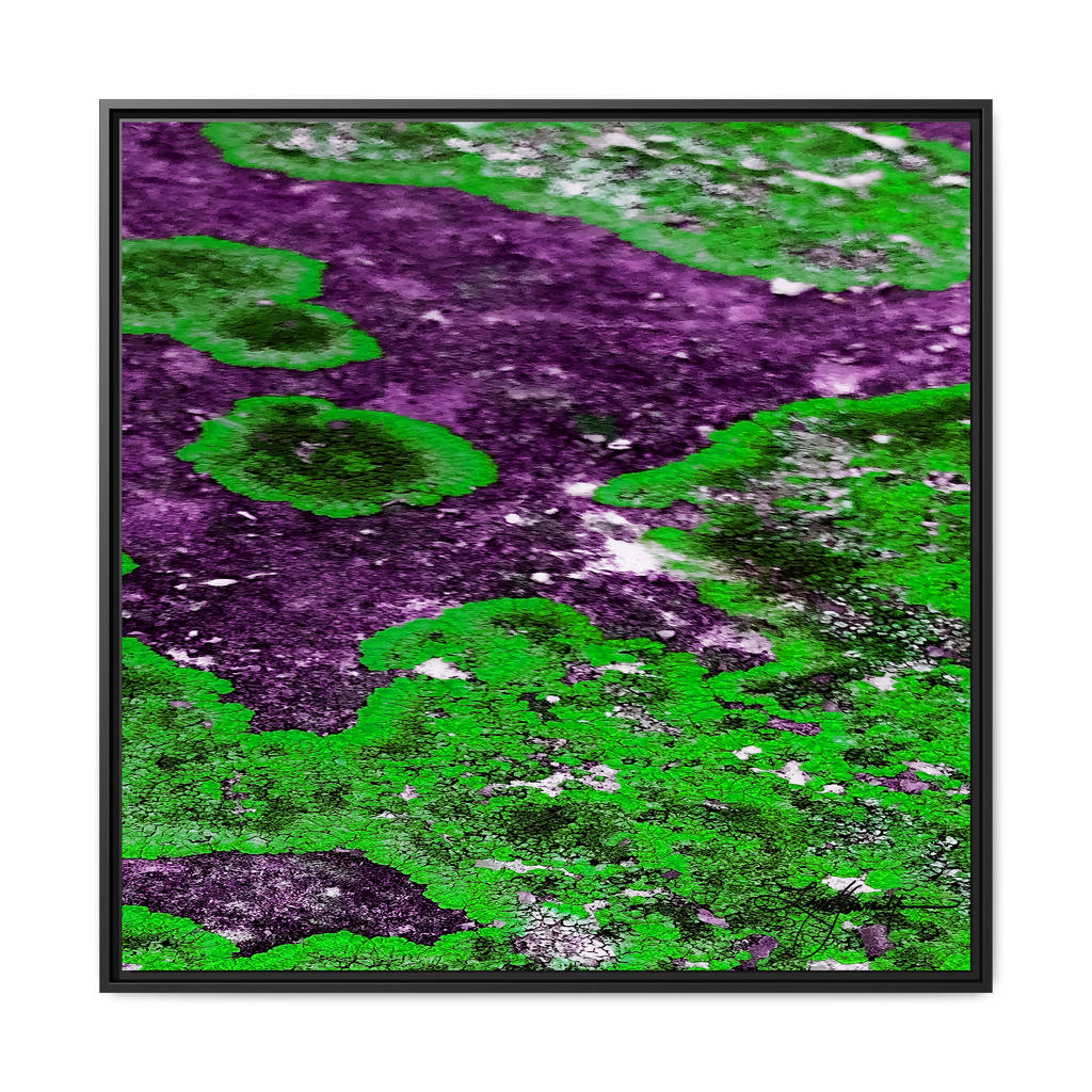TBN003