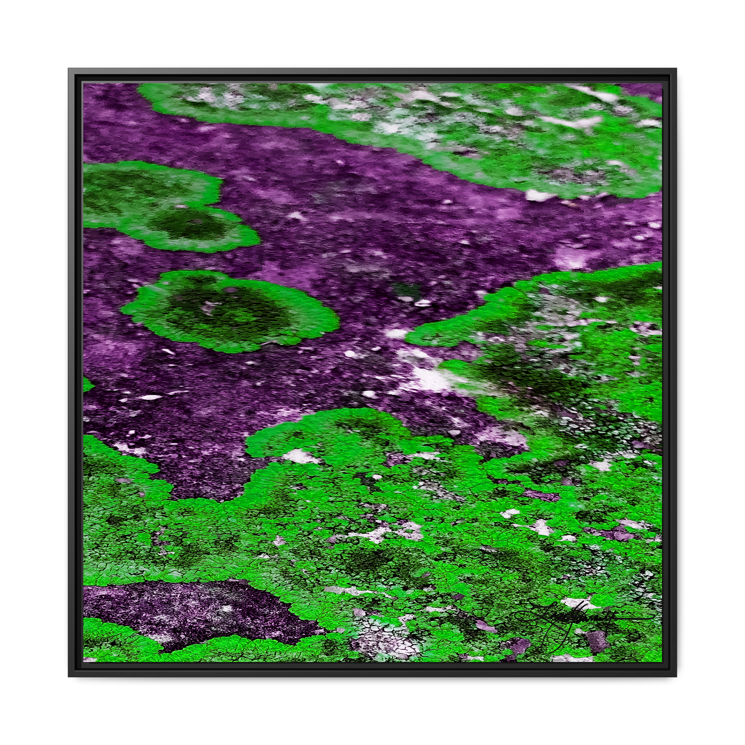 TBN003