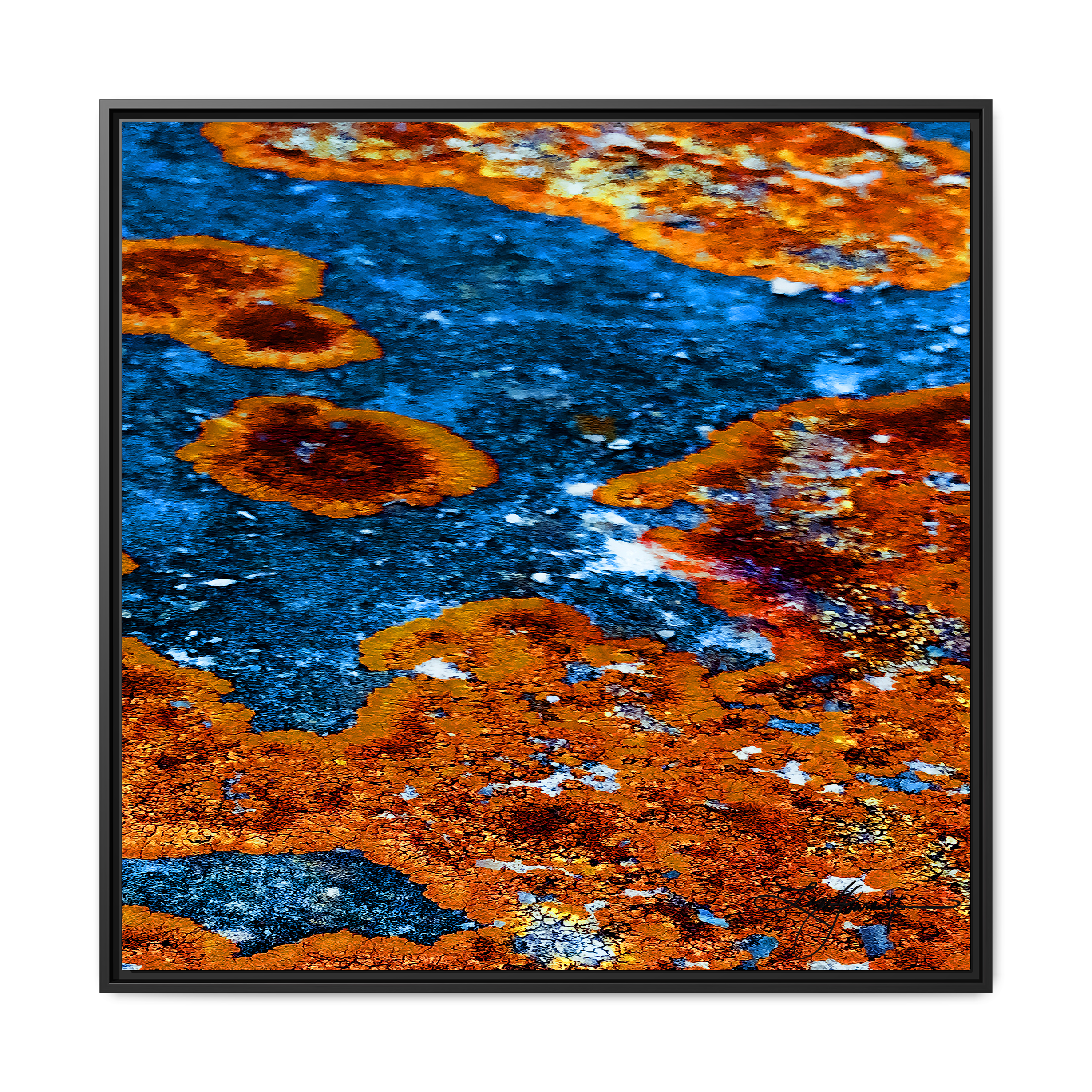 TBN003
