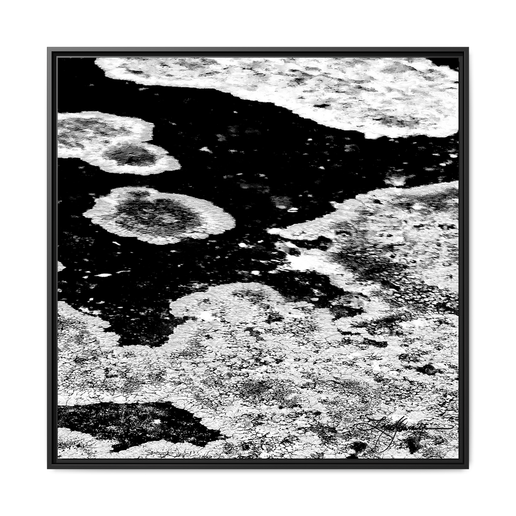 TBN003