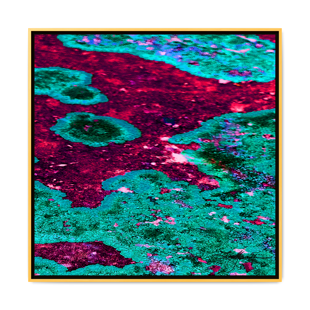 TBN003