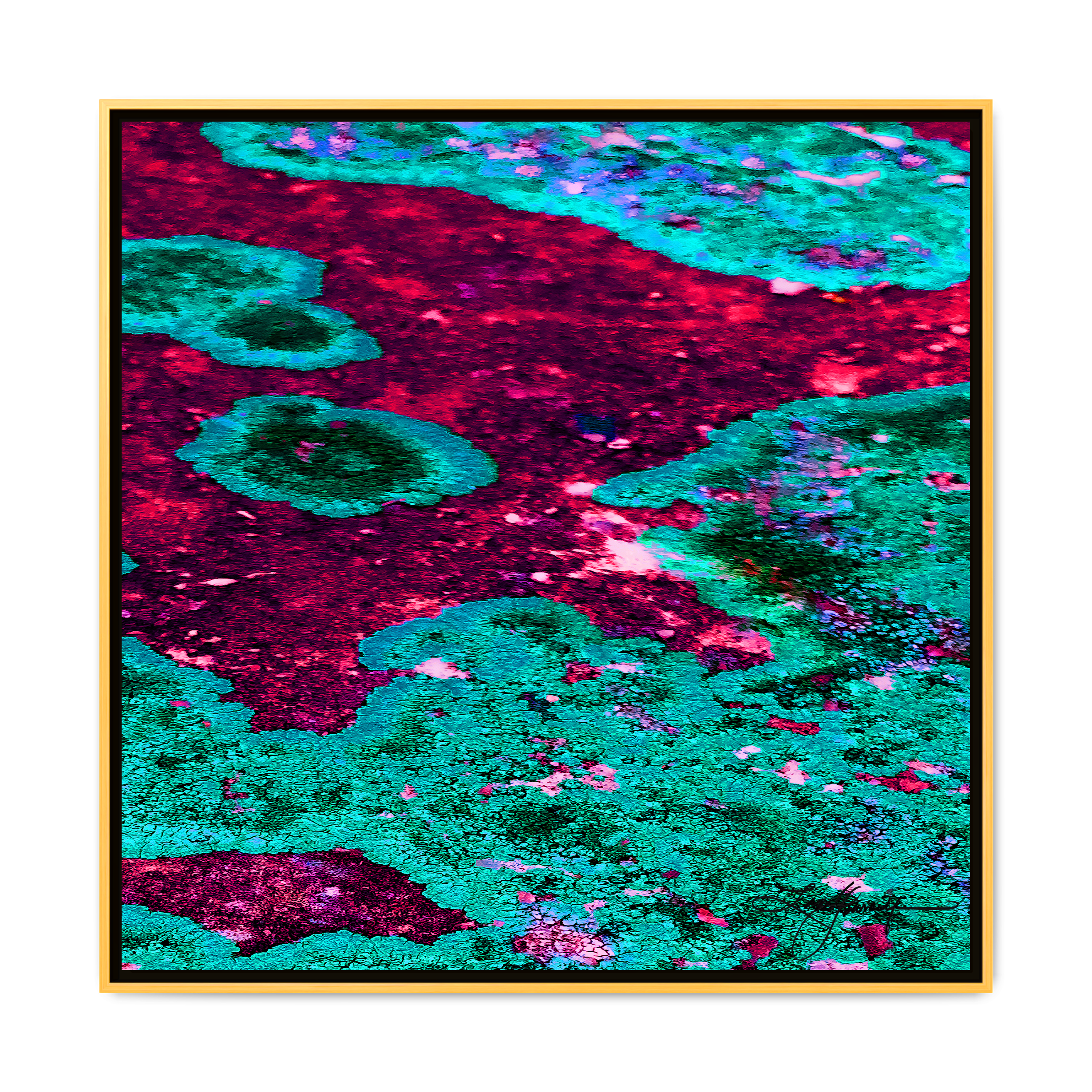 TBN003