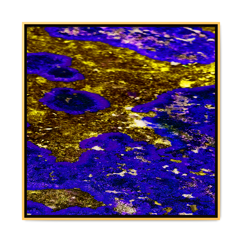 TBN003
