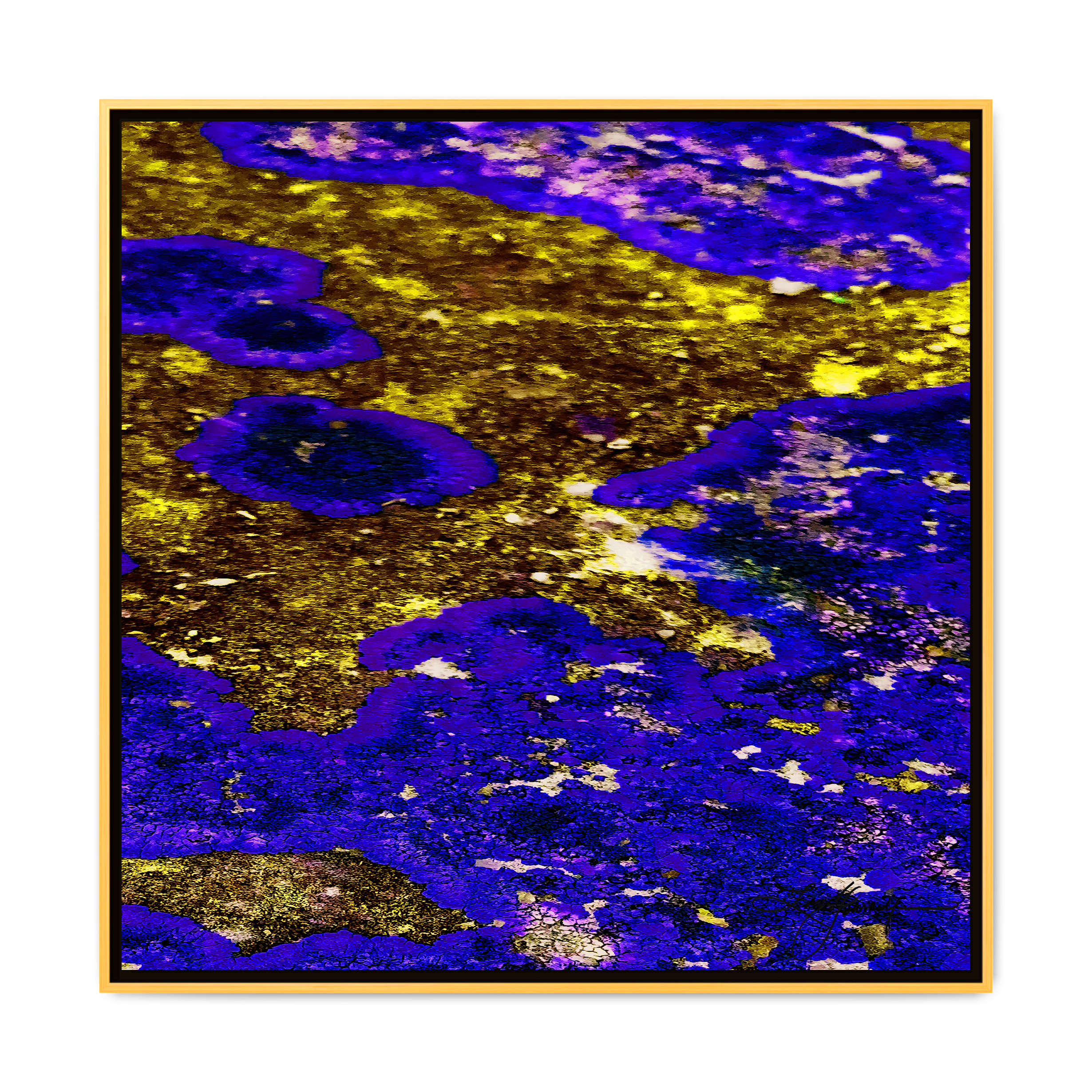 TBN003