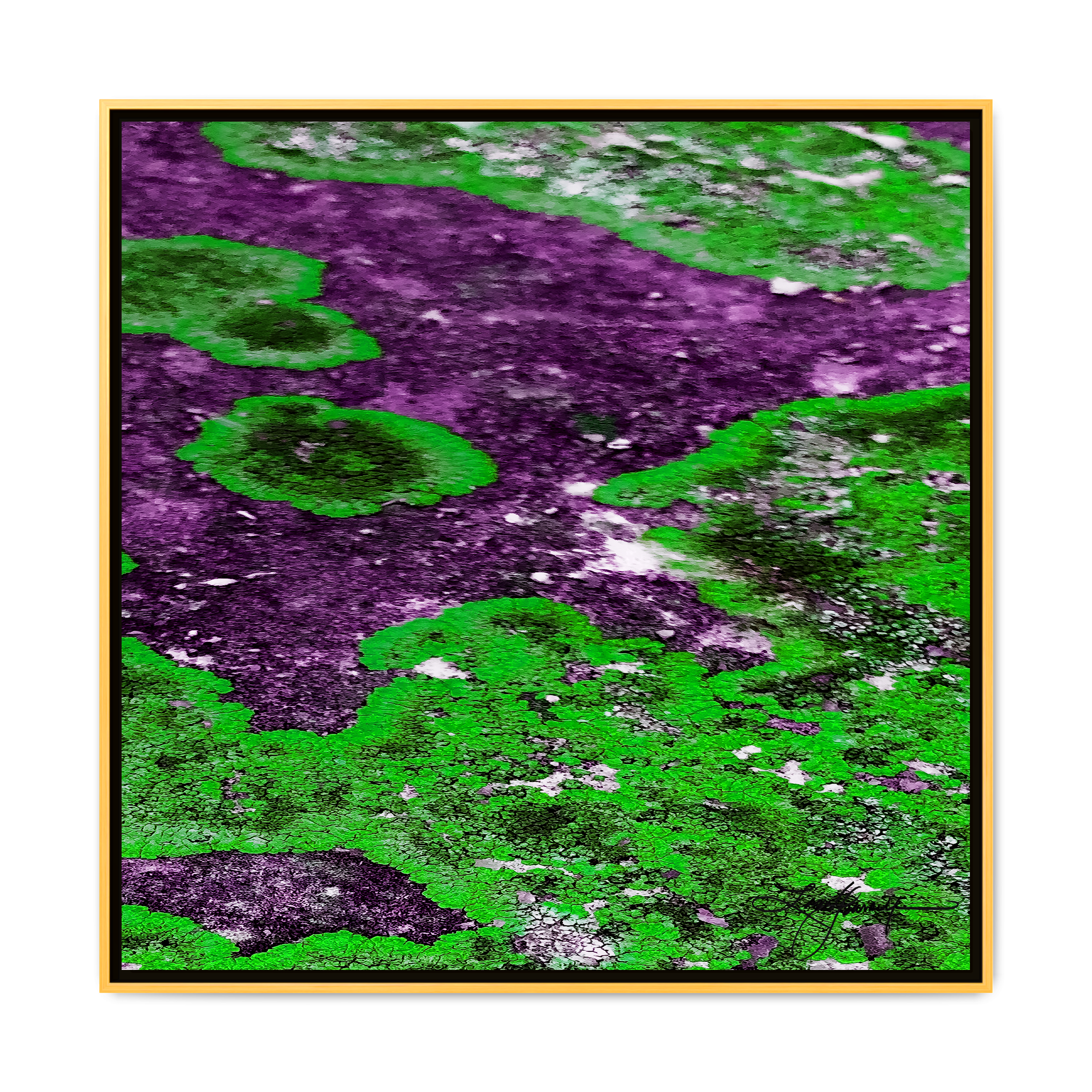 TBN003