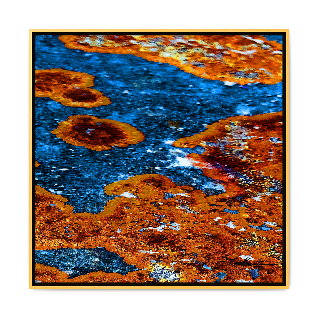 TBN003
