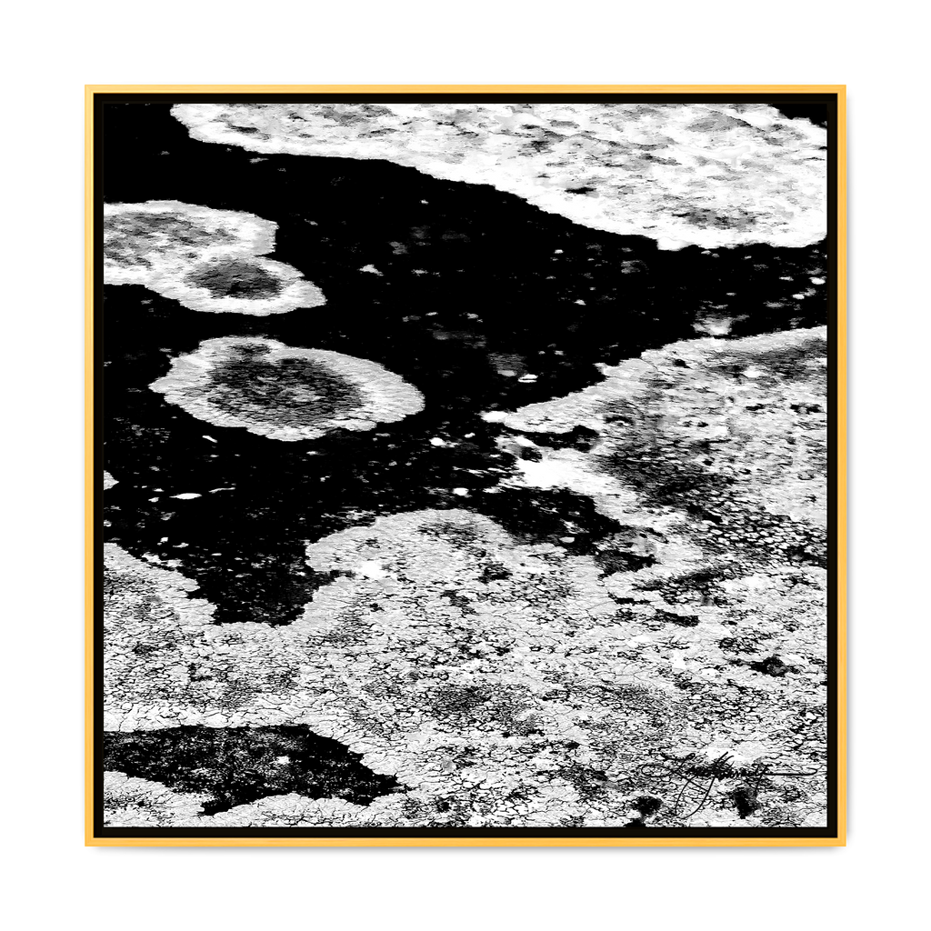 TBN003