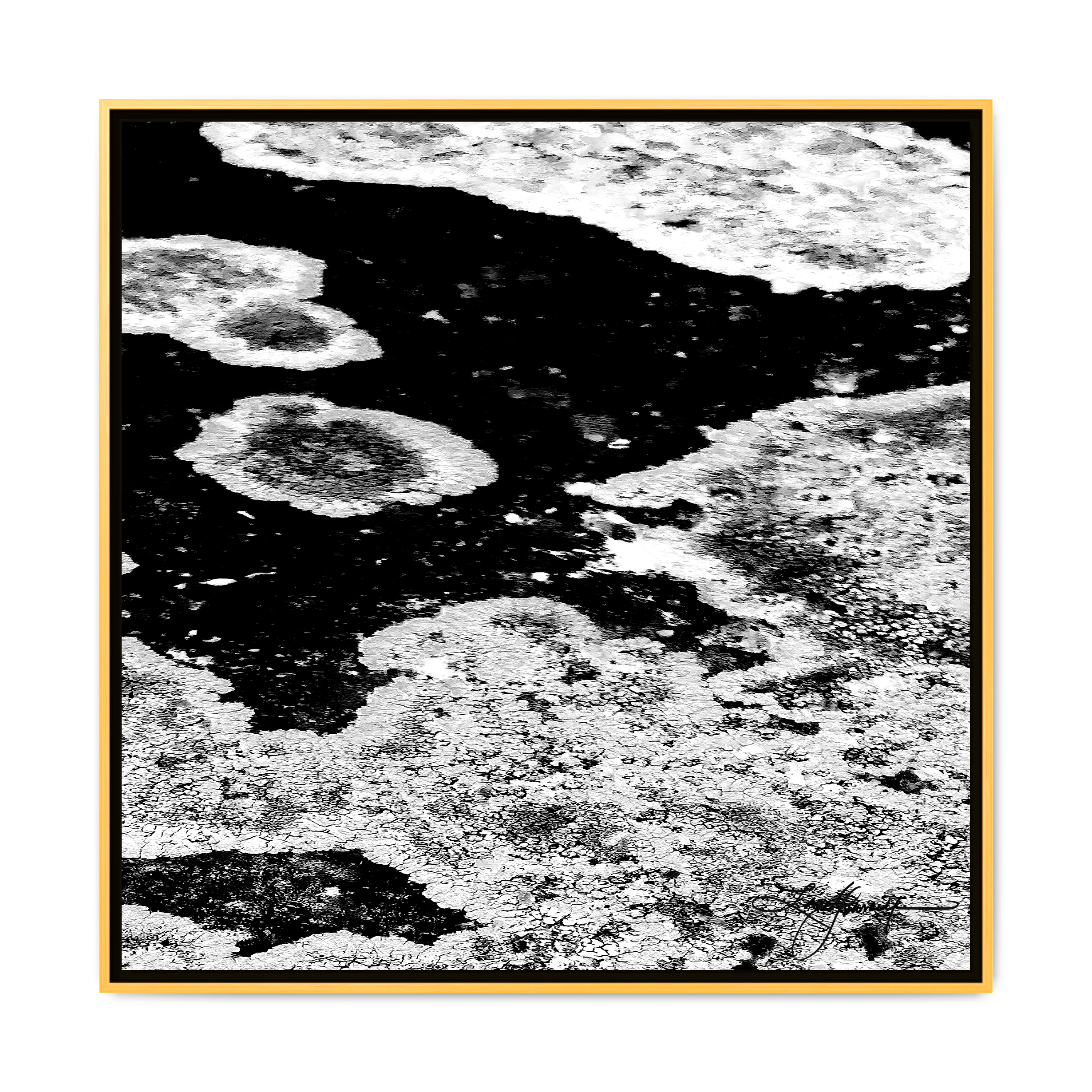 TBN003