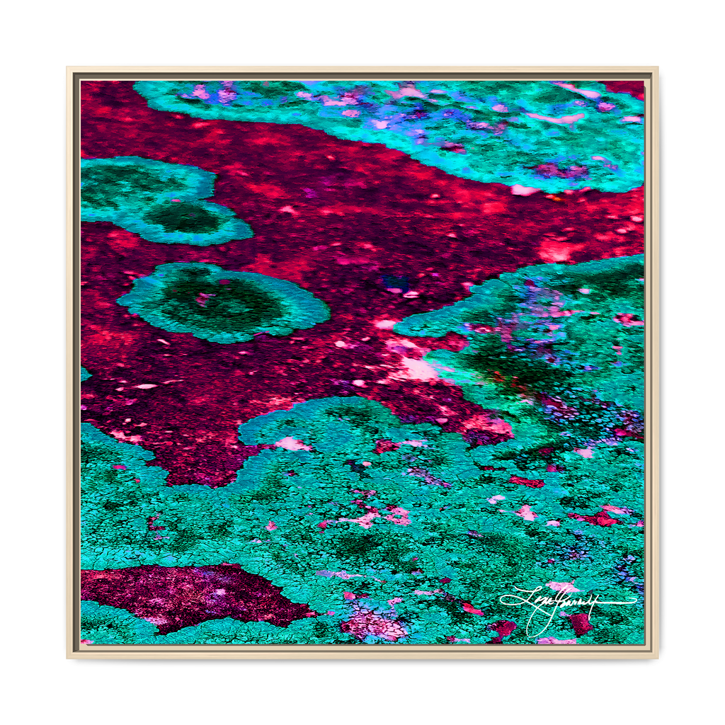 TBN003