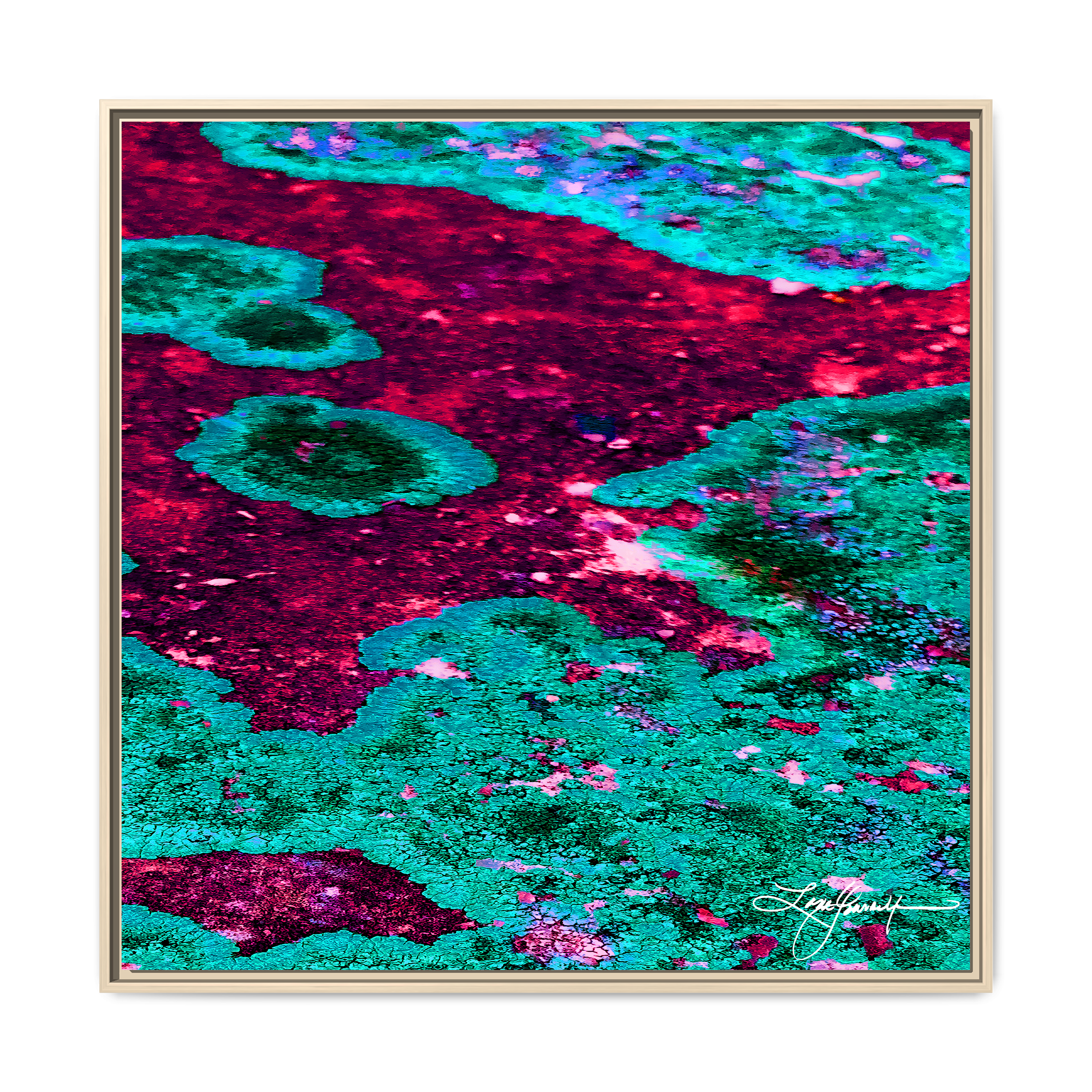 TBN003
