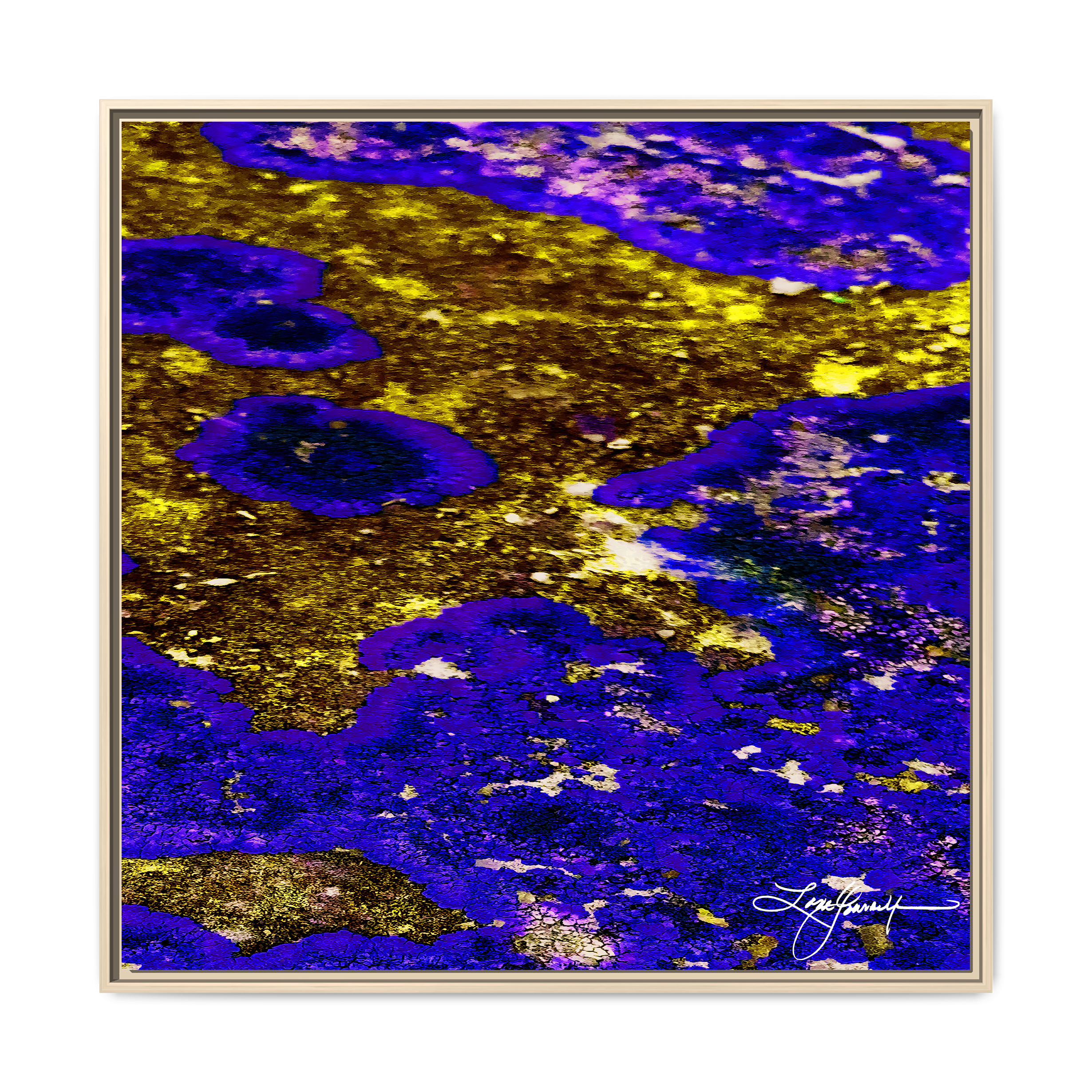 TBN003