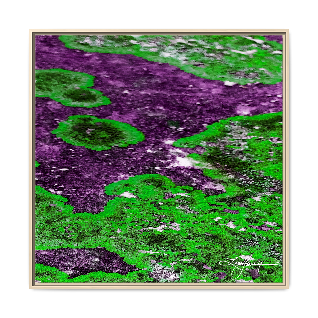 TBN003
