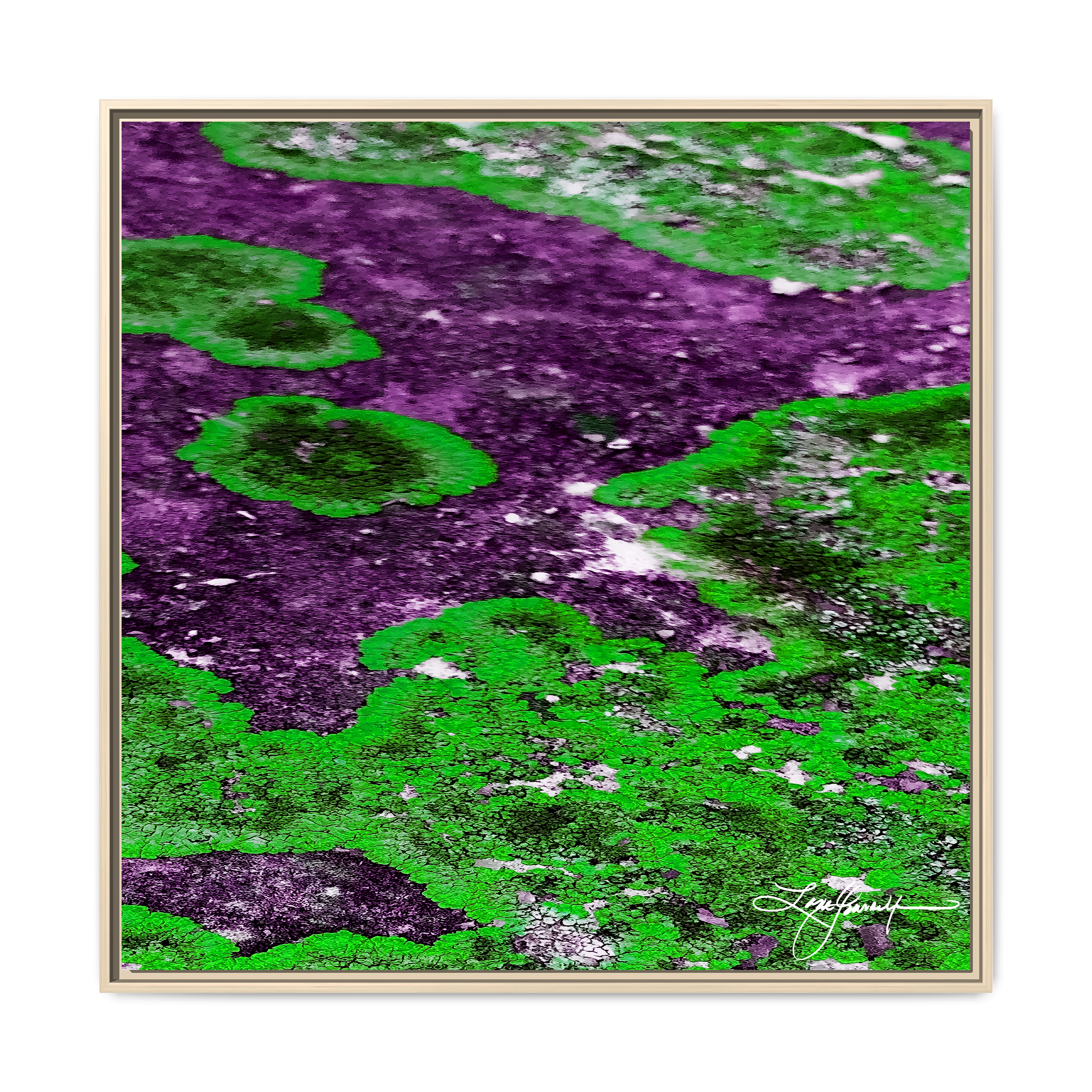 TBN003