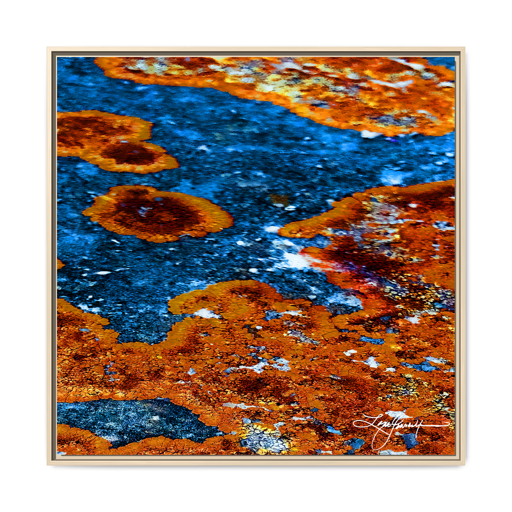 TBN003