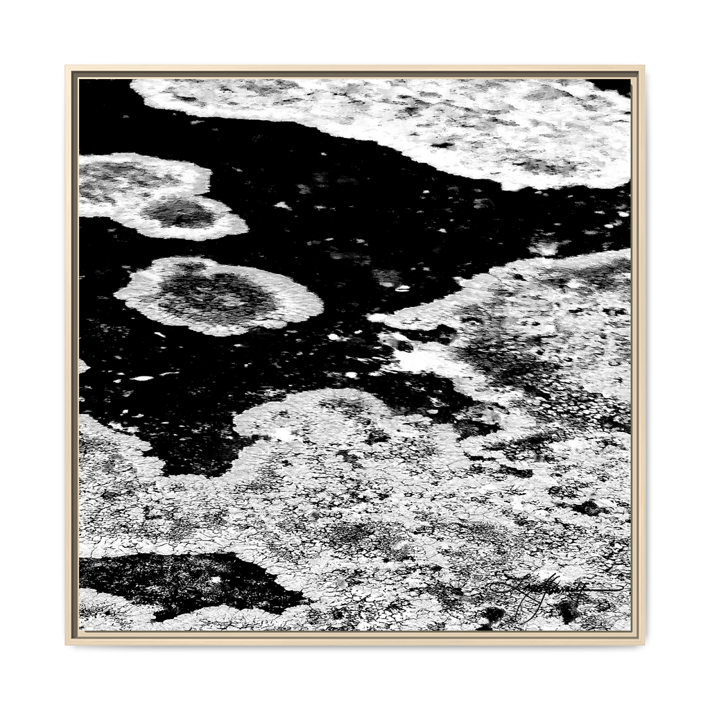 TBN003