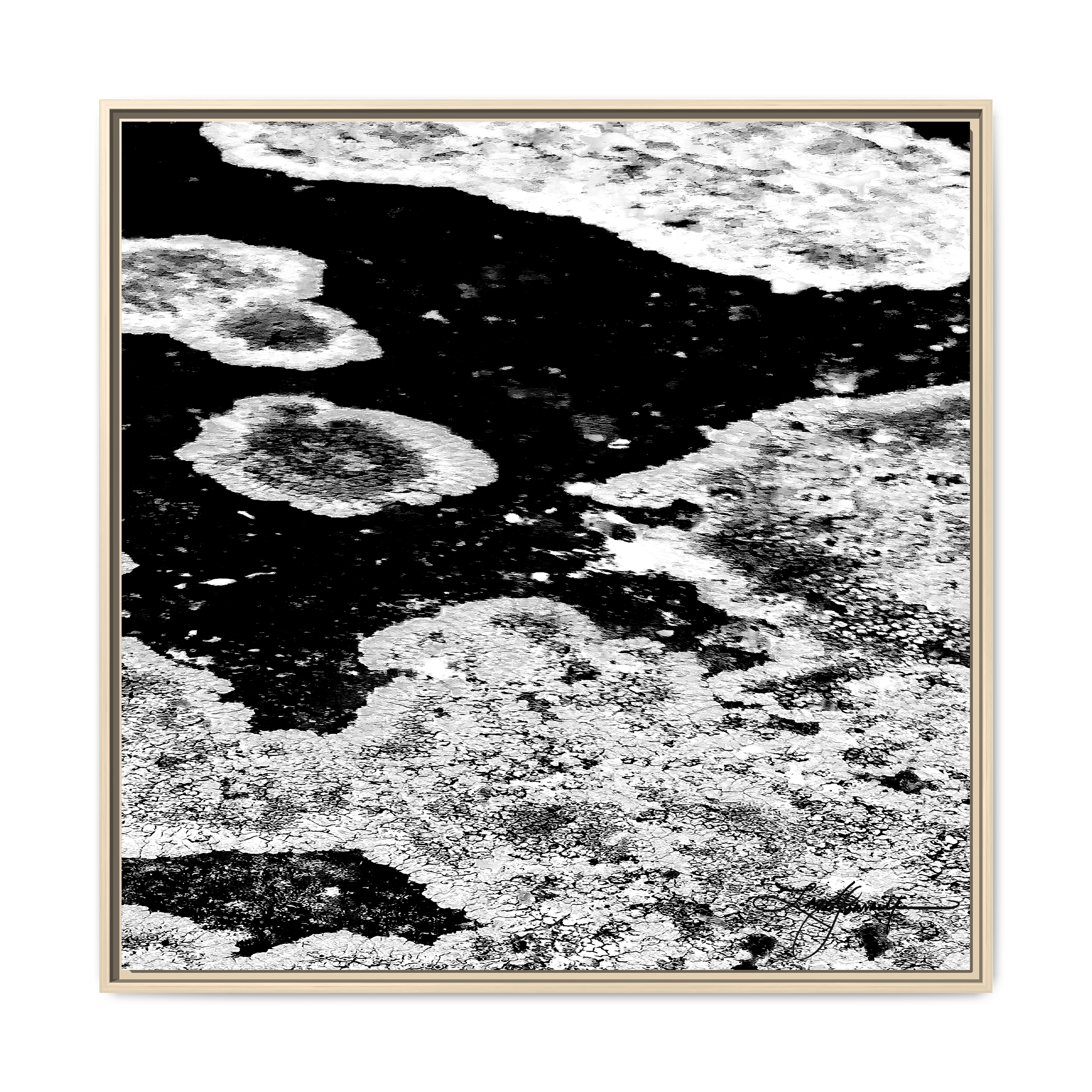 TBN003