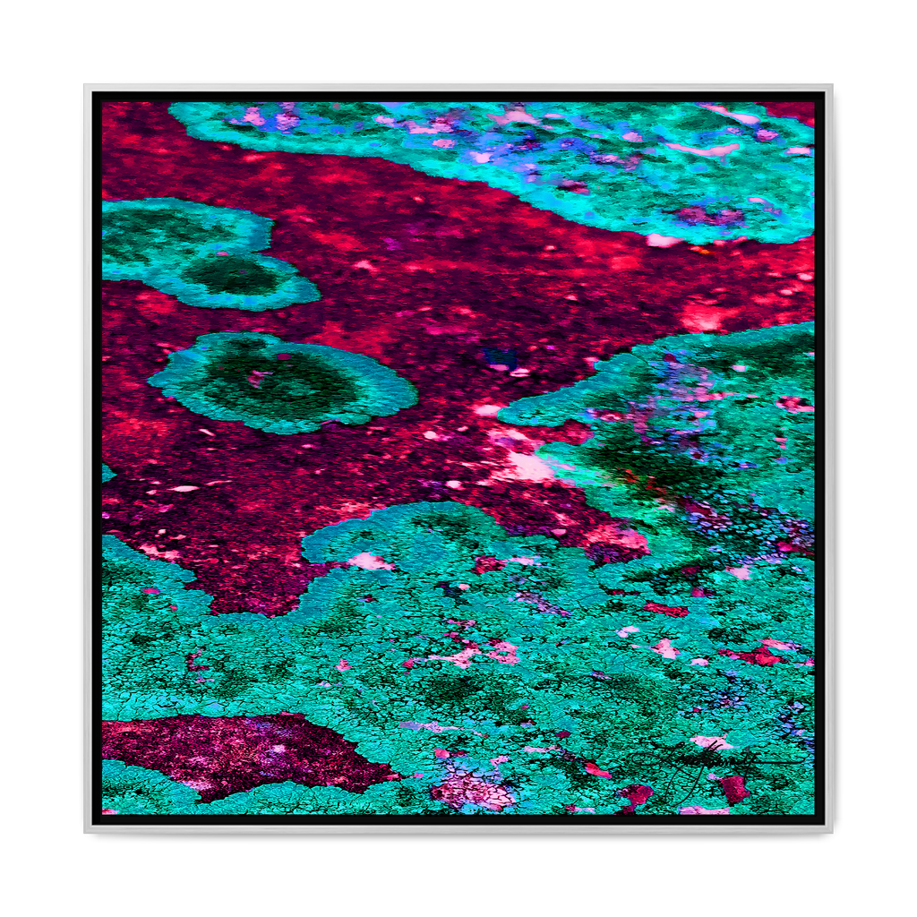 TBN003
