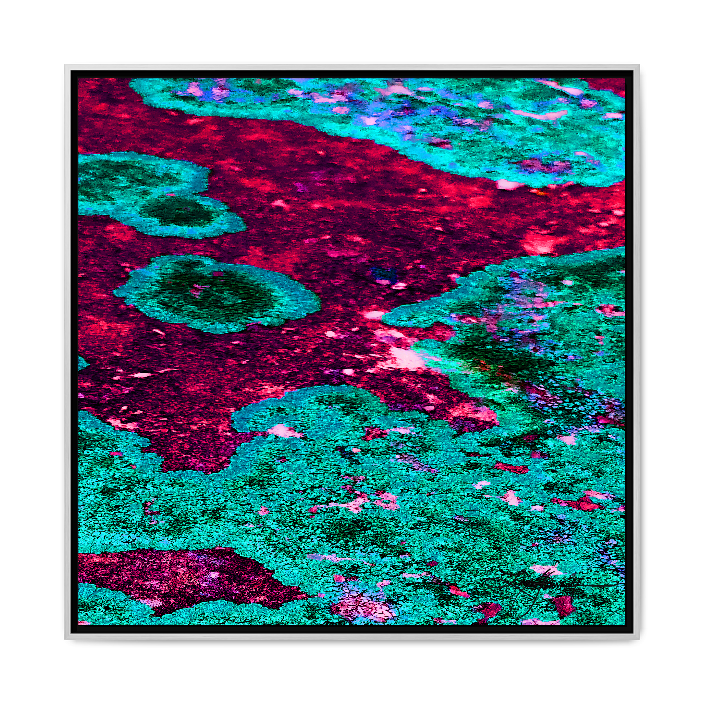 TBN003