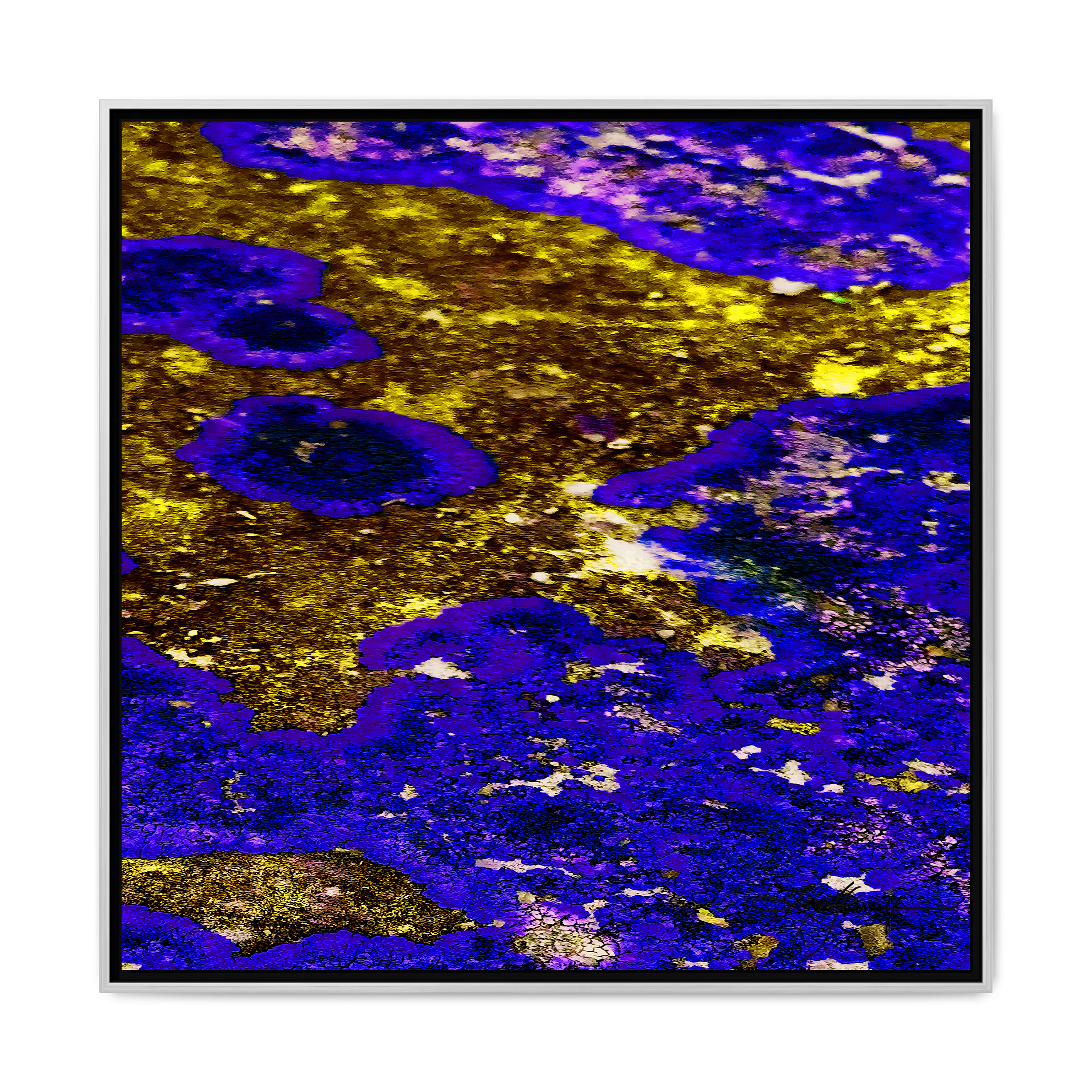 TBN003