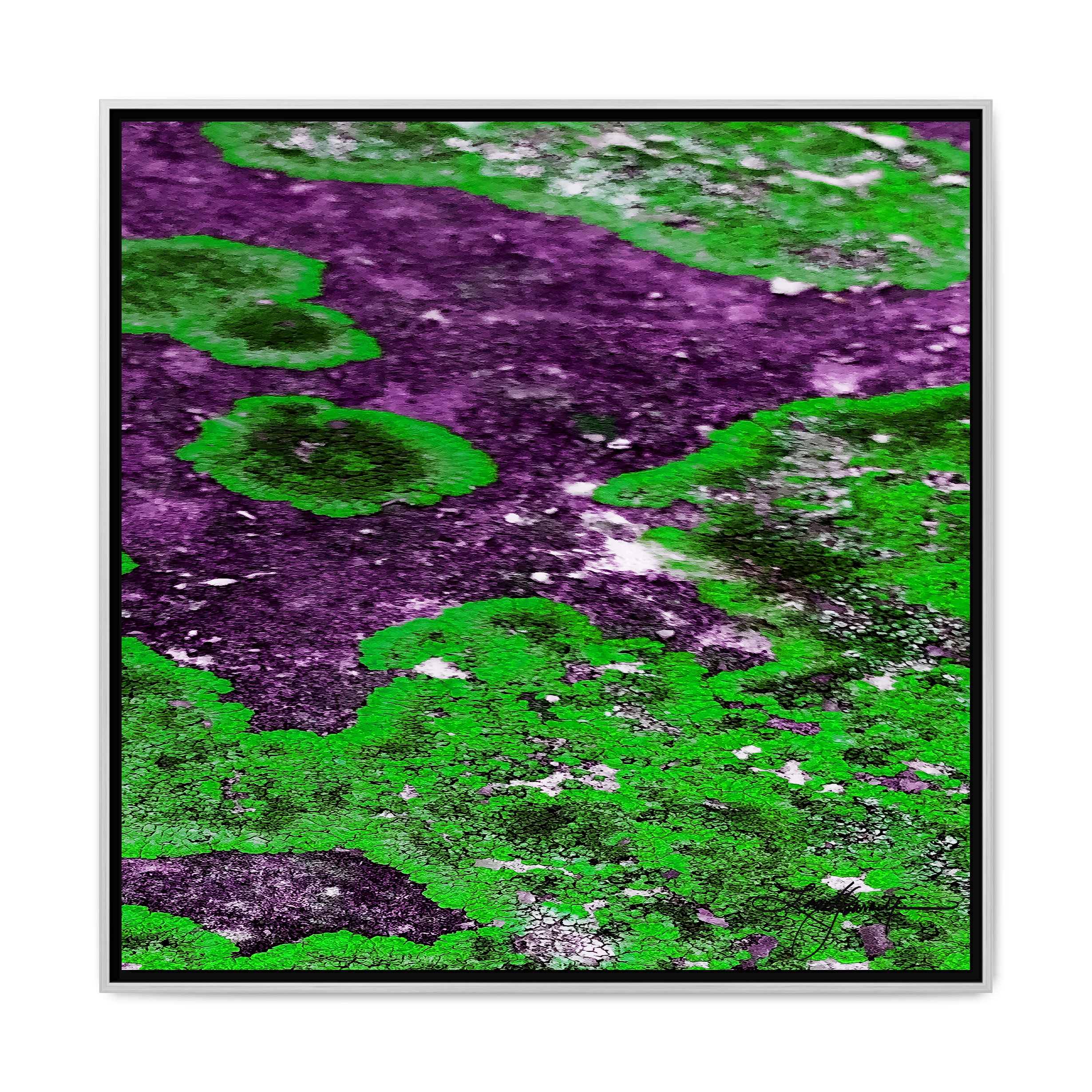 TBN003