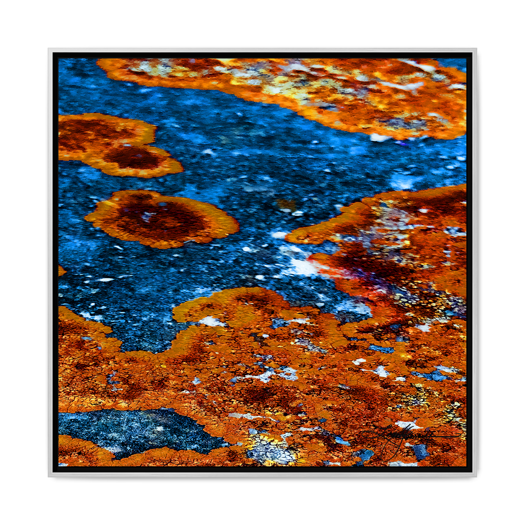 TBN003