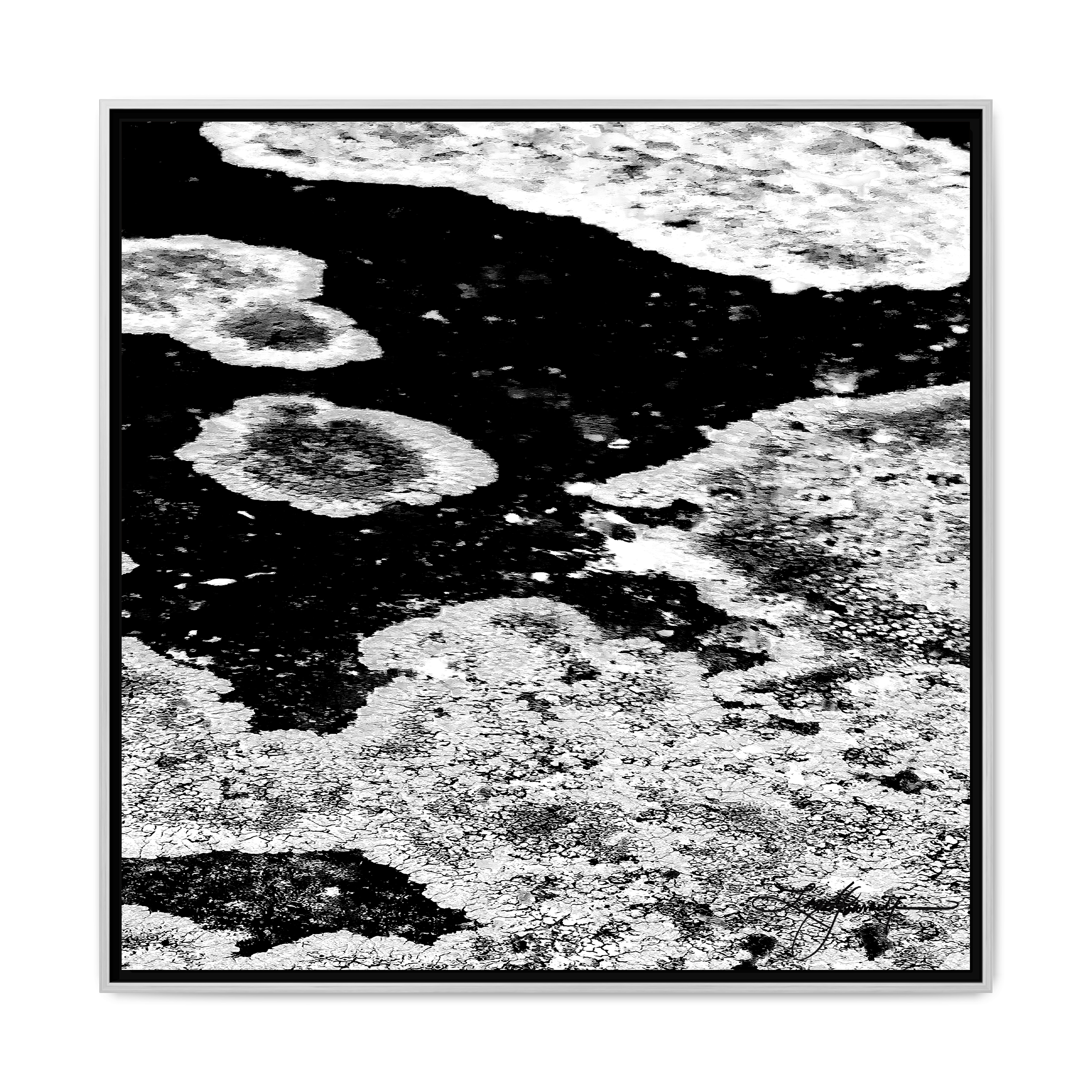 TBN003