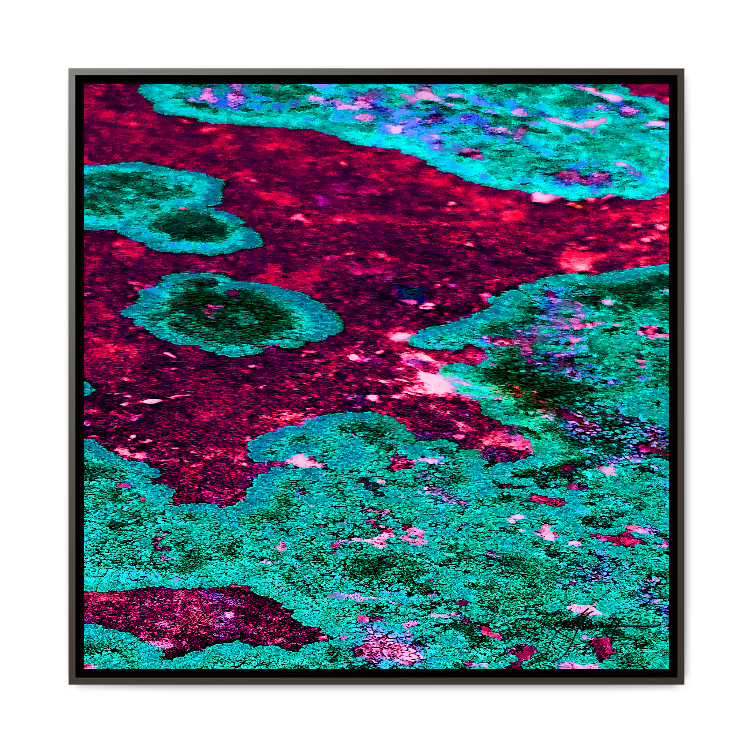 TBN003