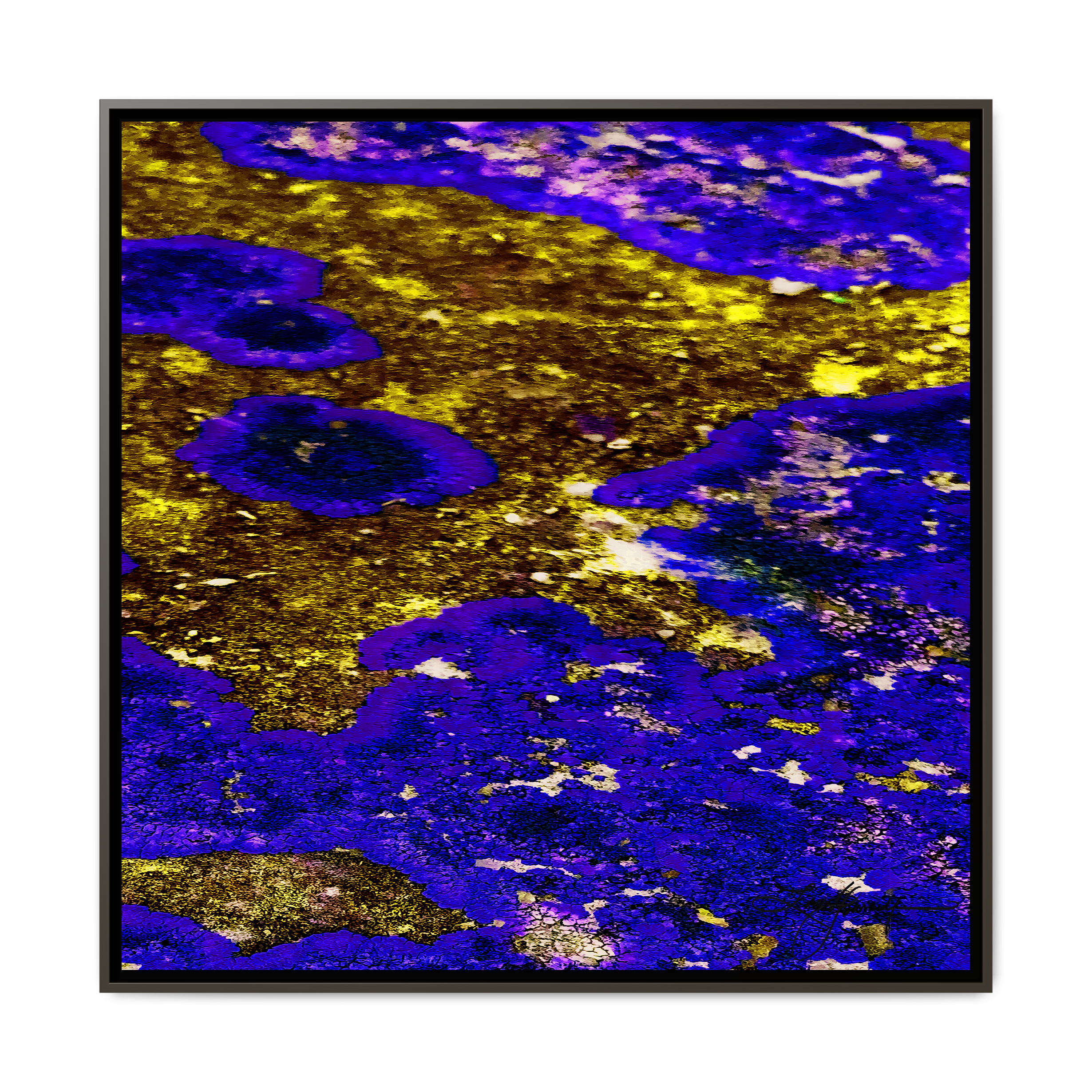 TBN003
