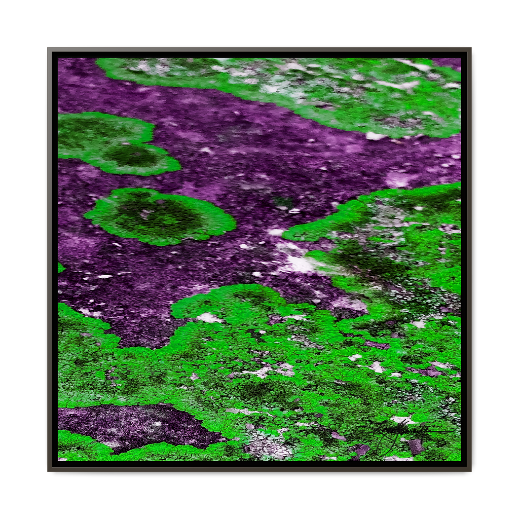 TBN003