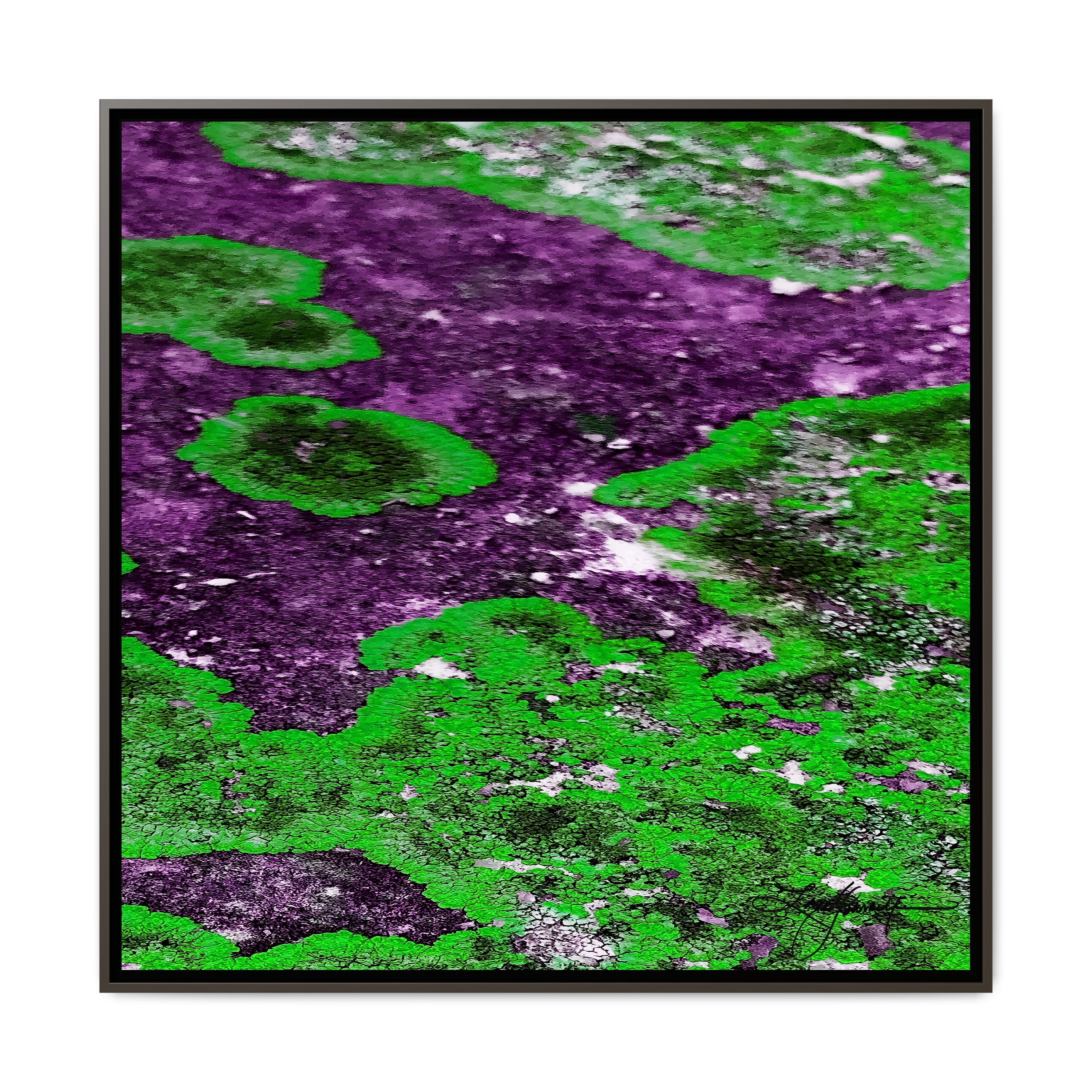 TBN003