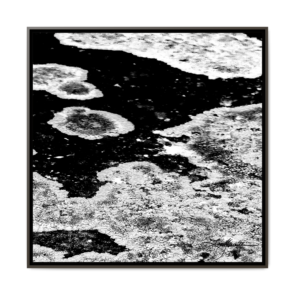 TBN003