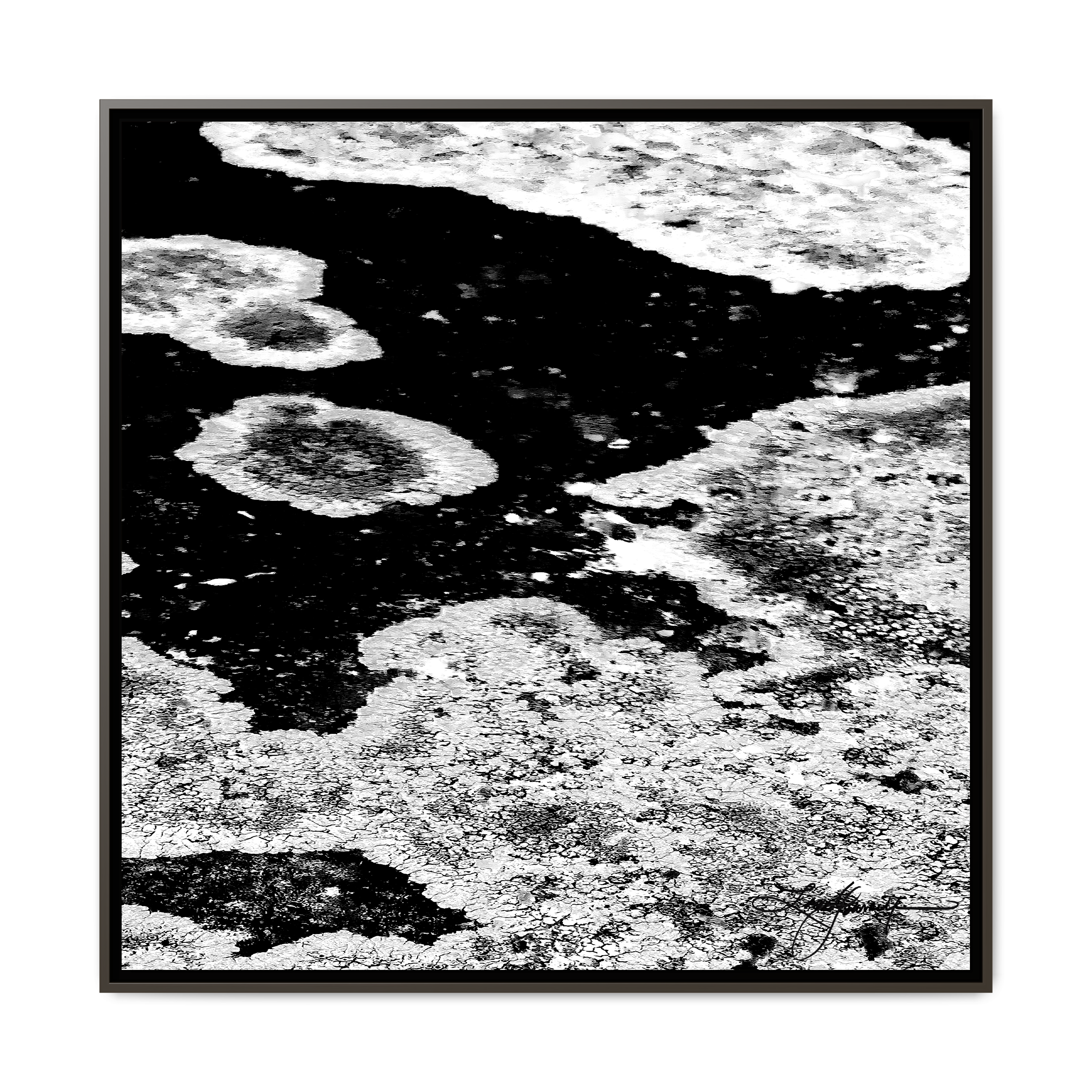 TBN003