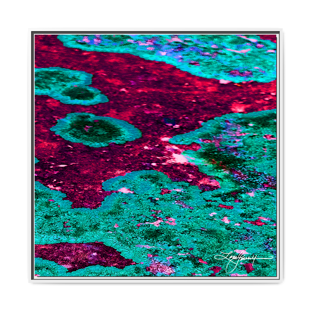 TBN003