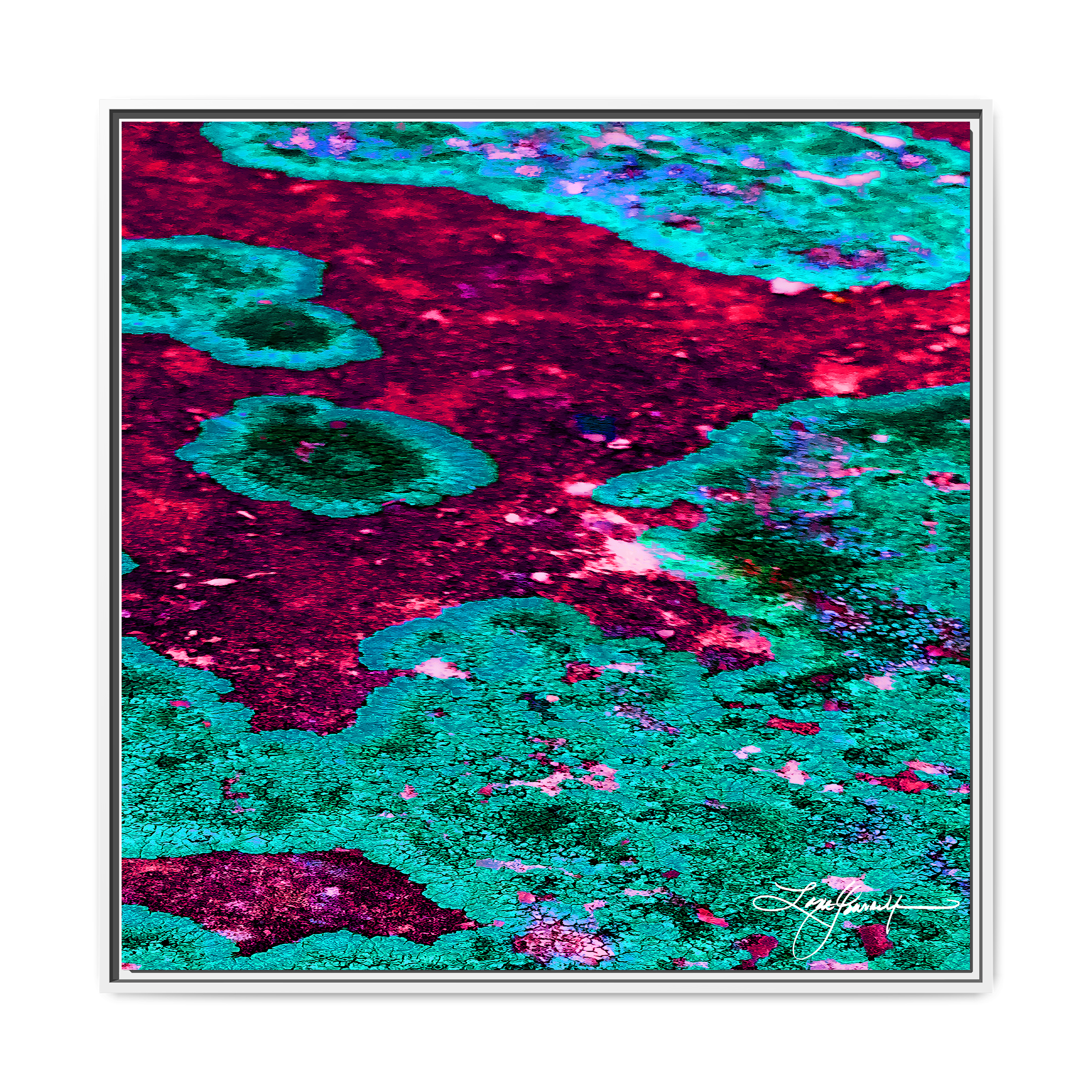 TBN003