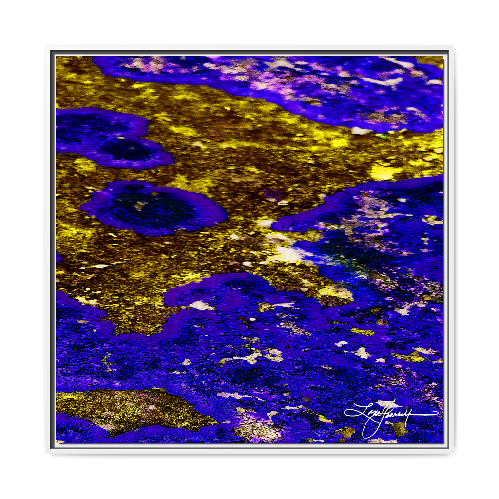 TBN003