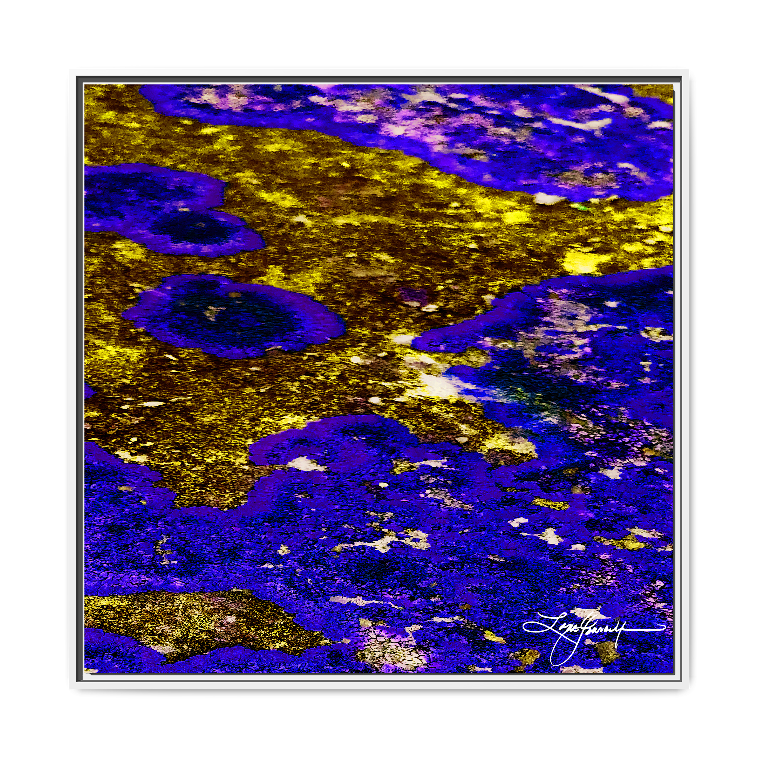 TBN003