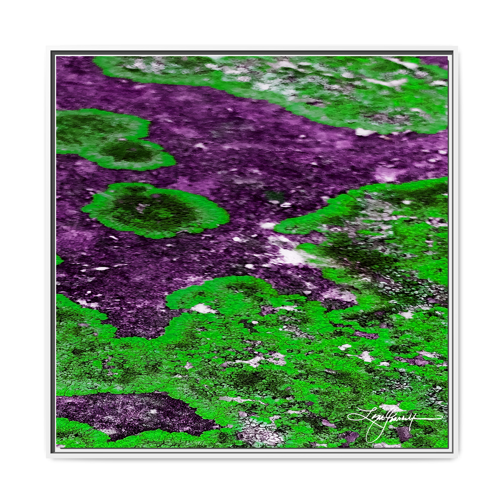 TBN003
