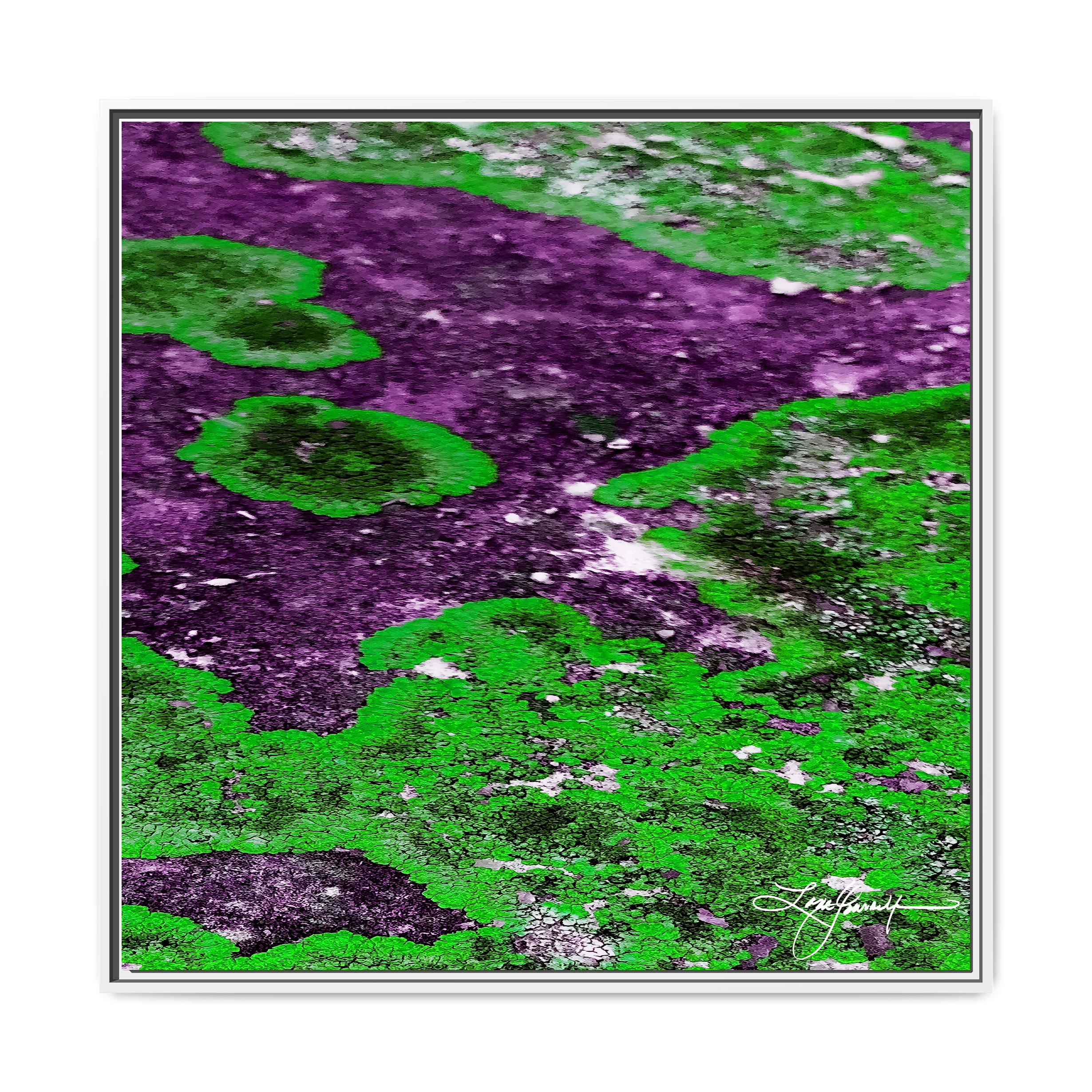 TBN003
