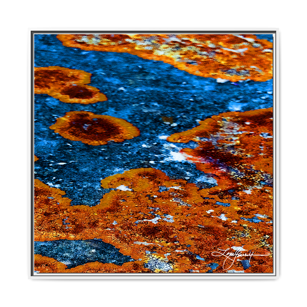 TBN003