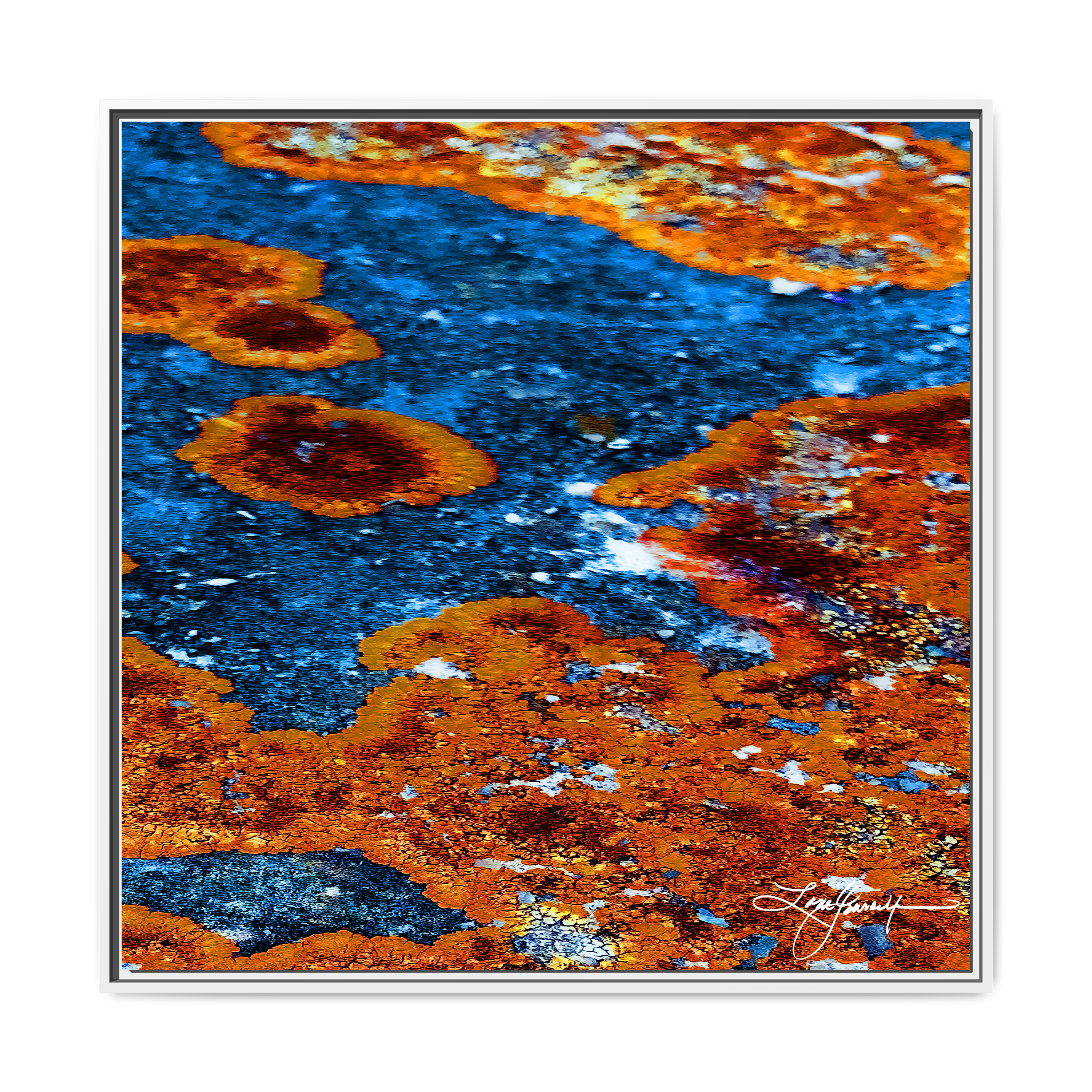 TBN003