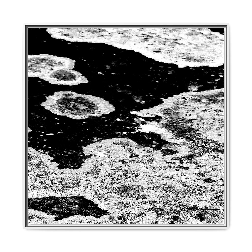 TBN003