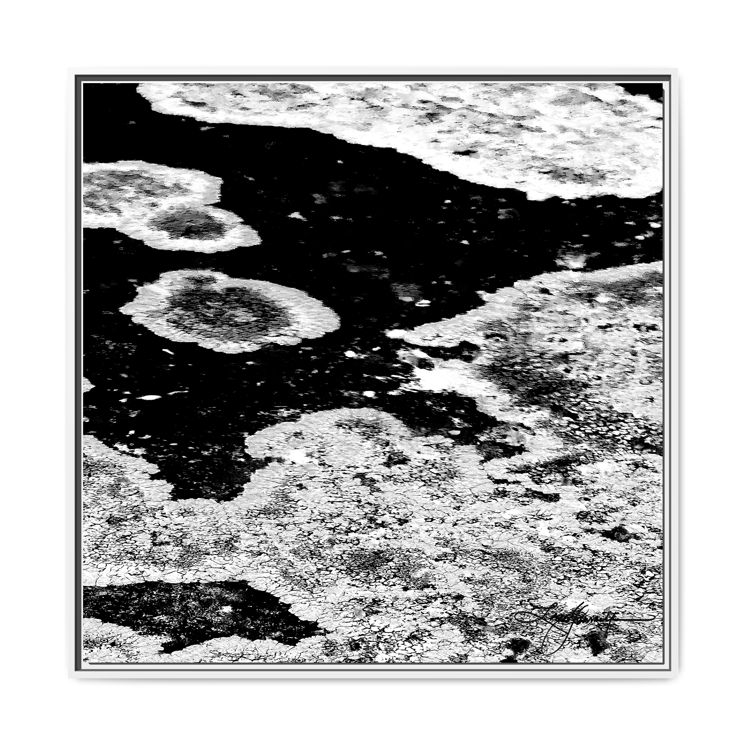 TBN003