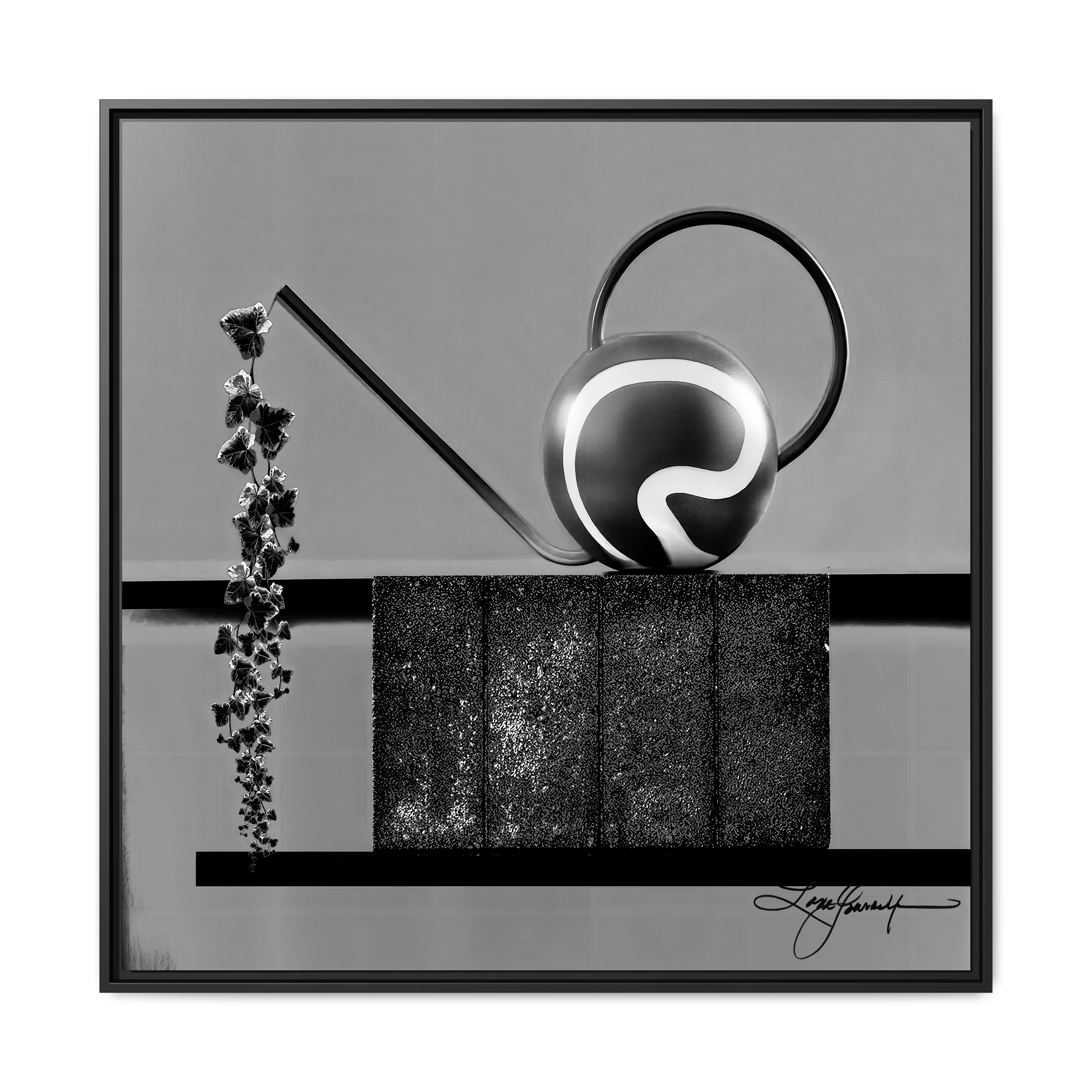 TBN006