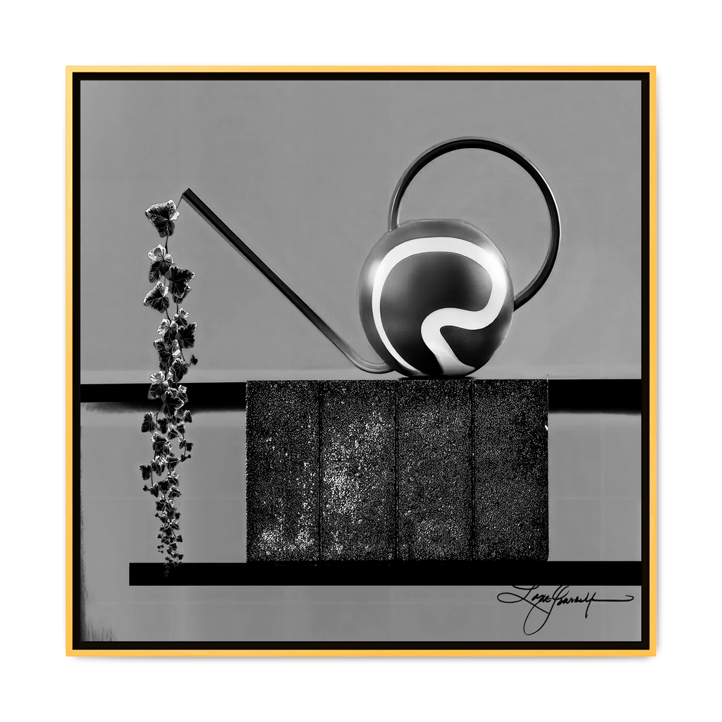 TBN006