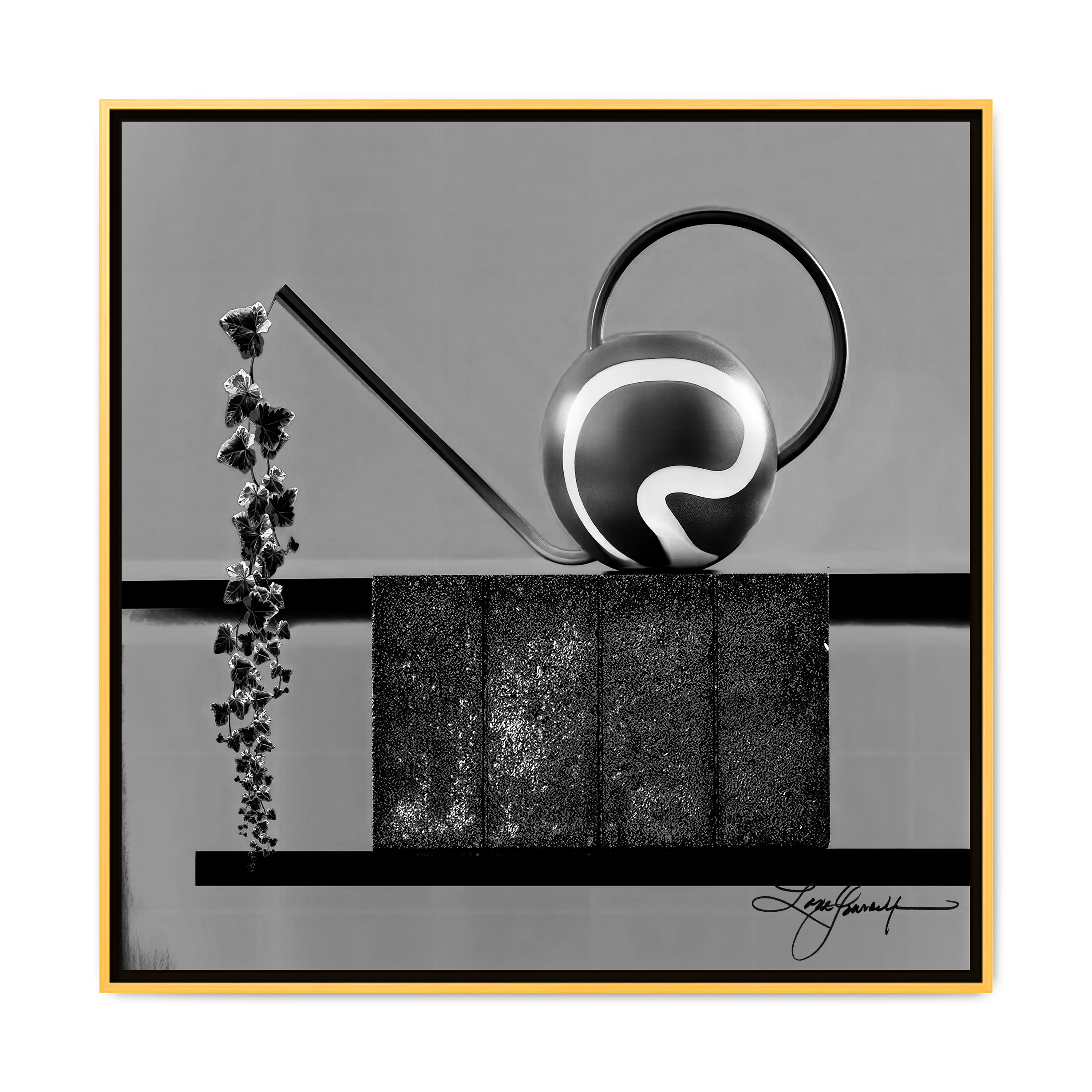 TBN006